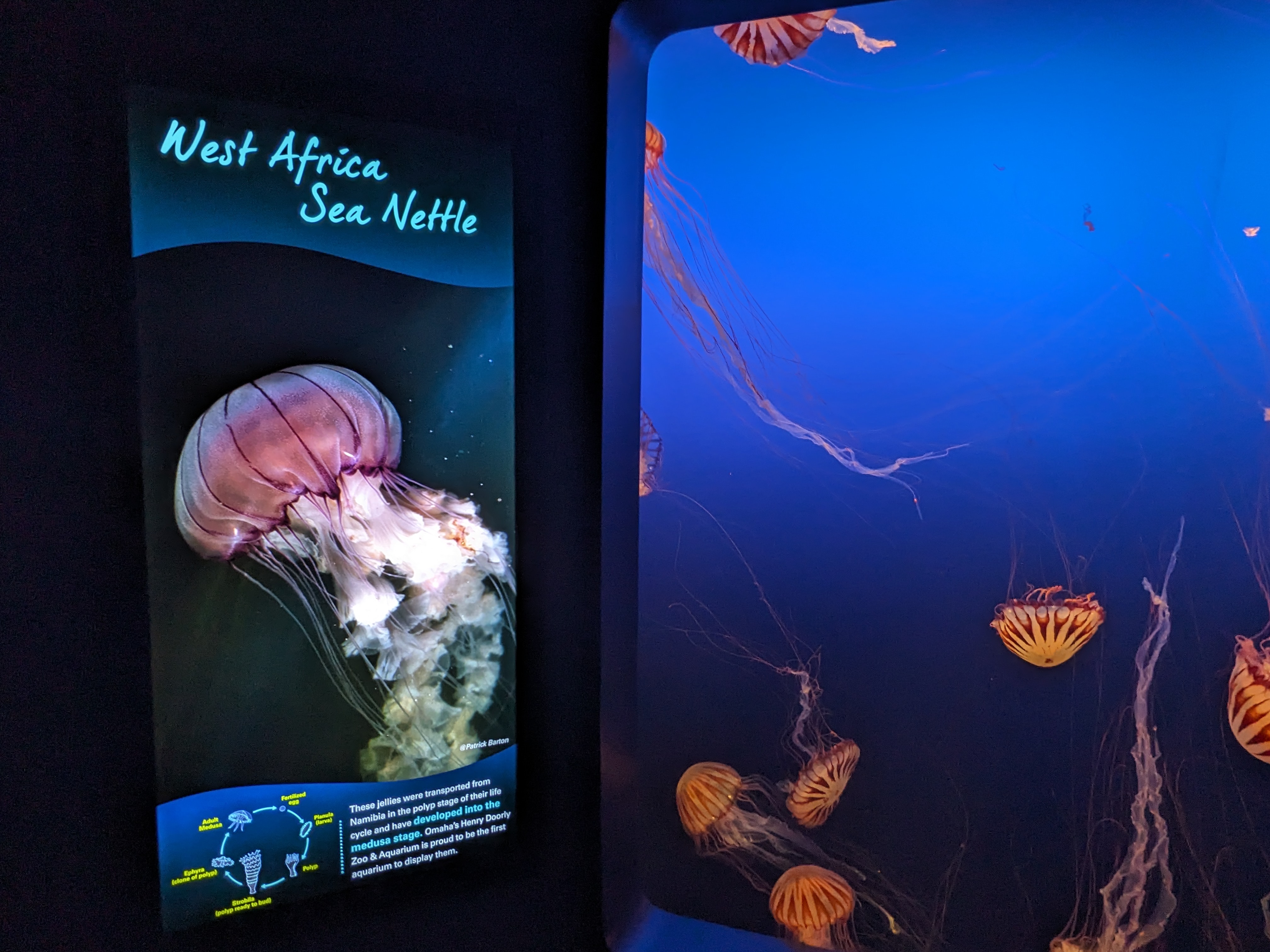 PXL 20240328 155942215