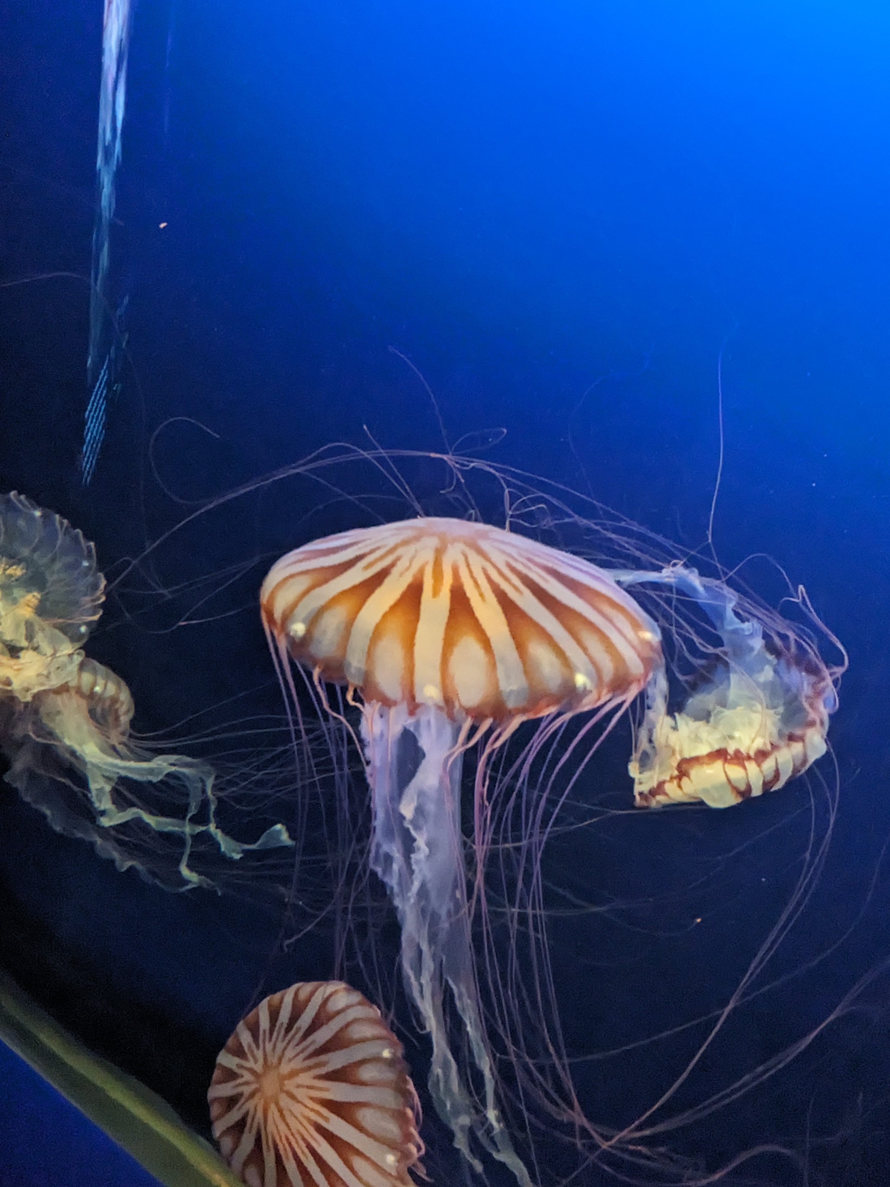 PXL 20240328 155959662