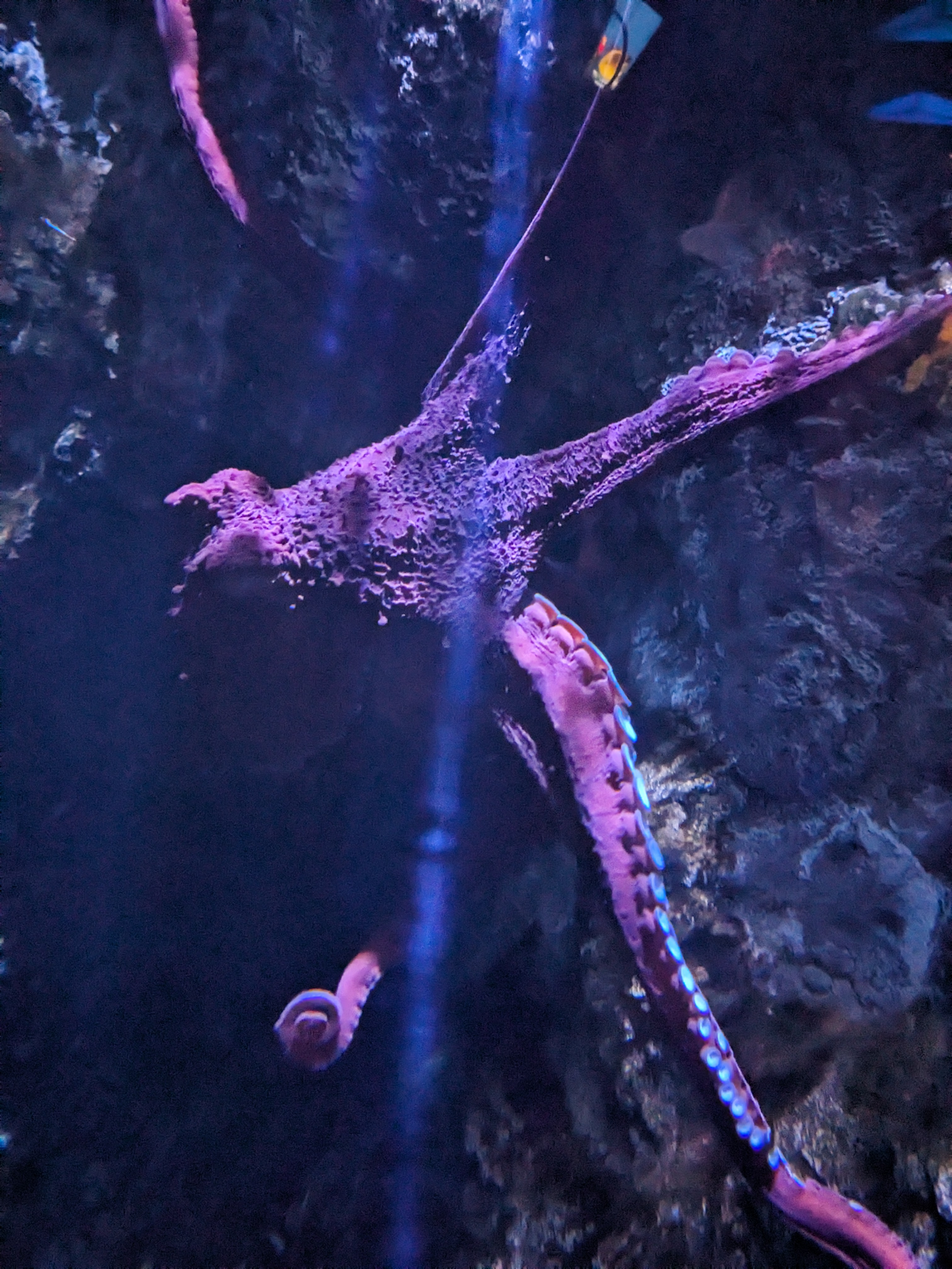 PXL 20240328 160827705