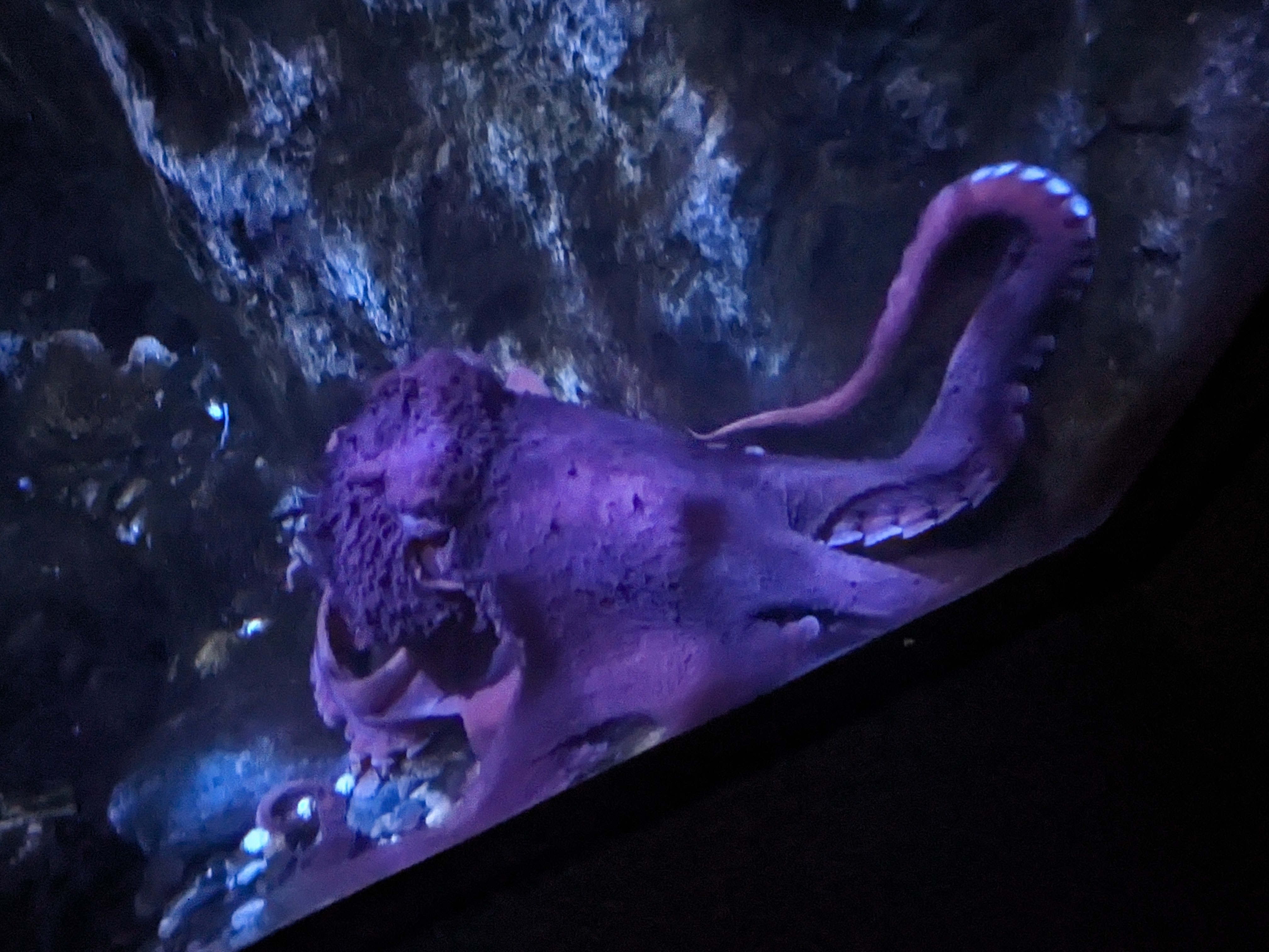 PXL 20240328 160852923