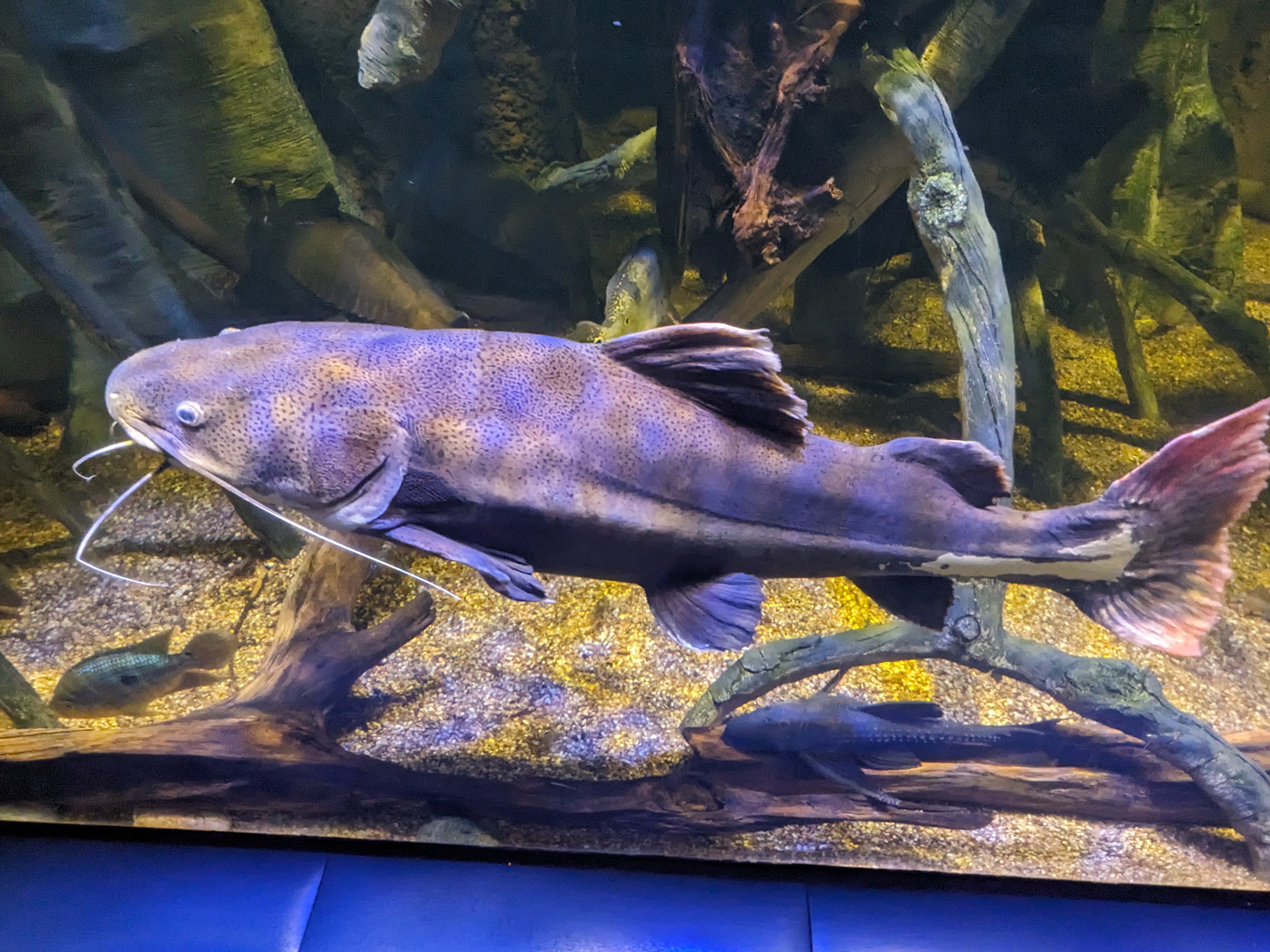 PXL 20240328 161128436