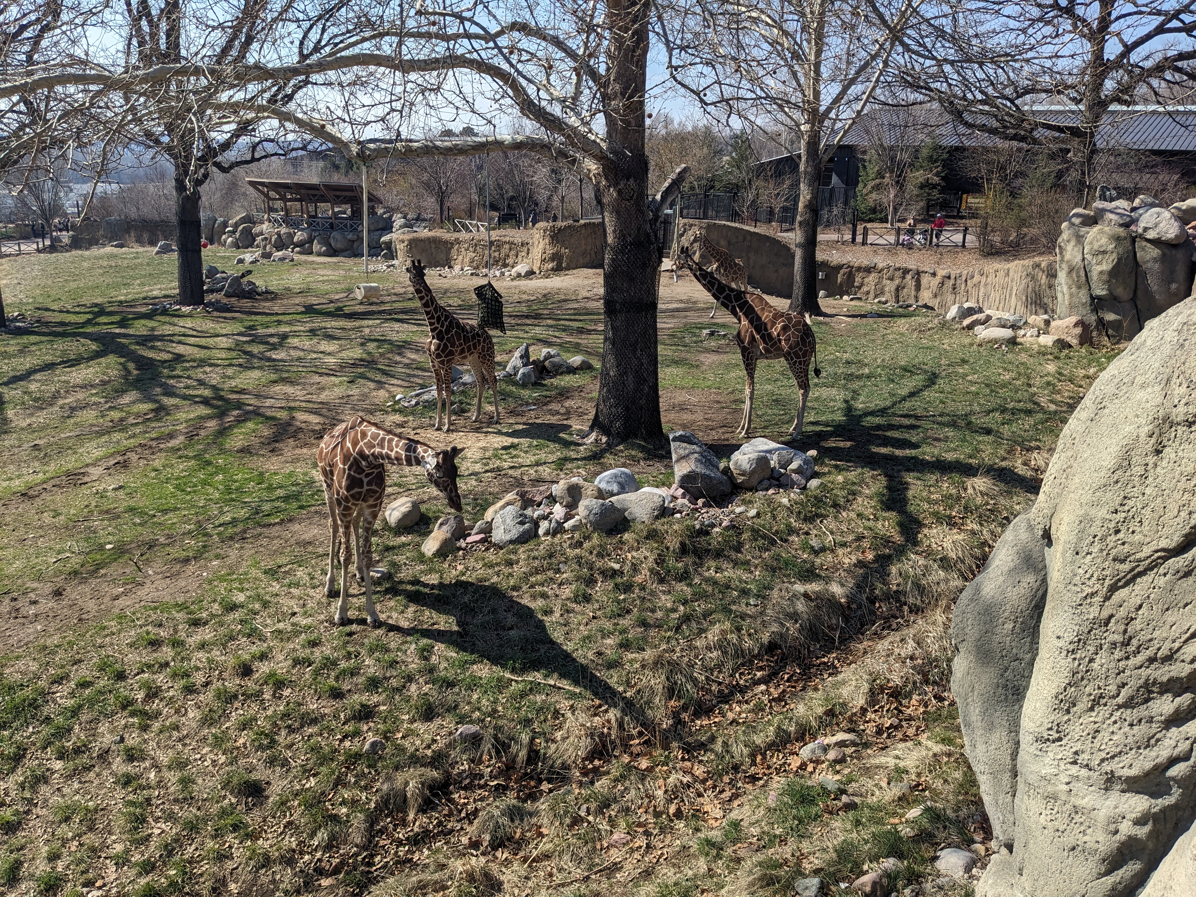 PXL 20240328 162506059