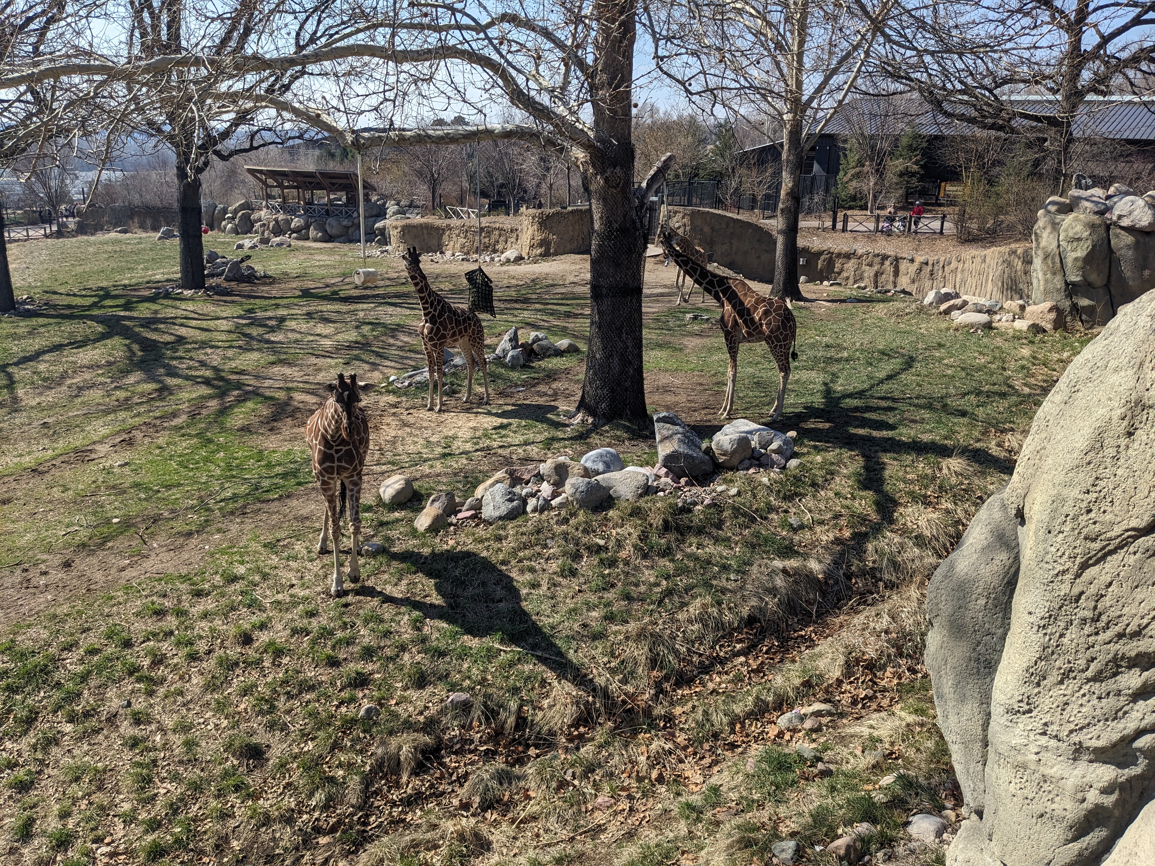 PXL 20240328 162507471