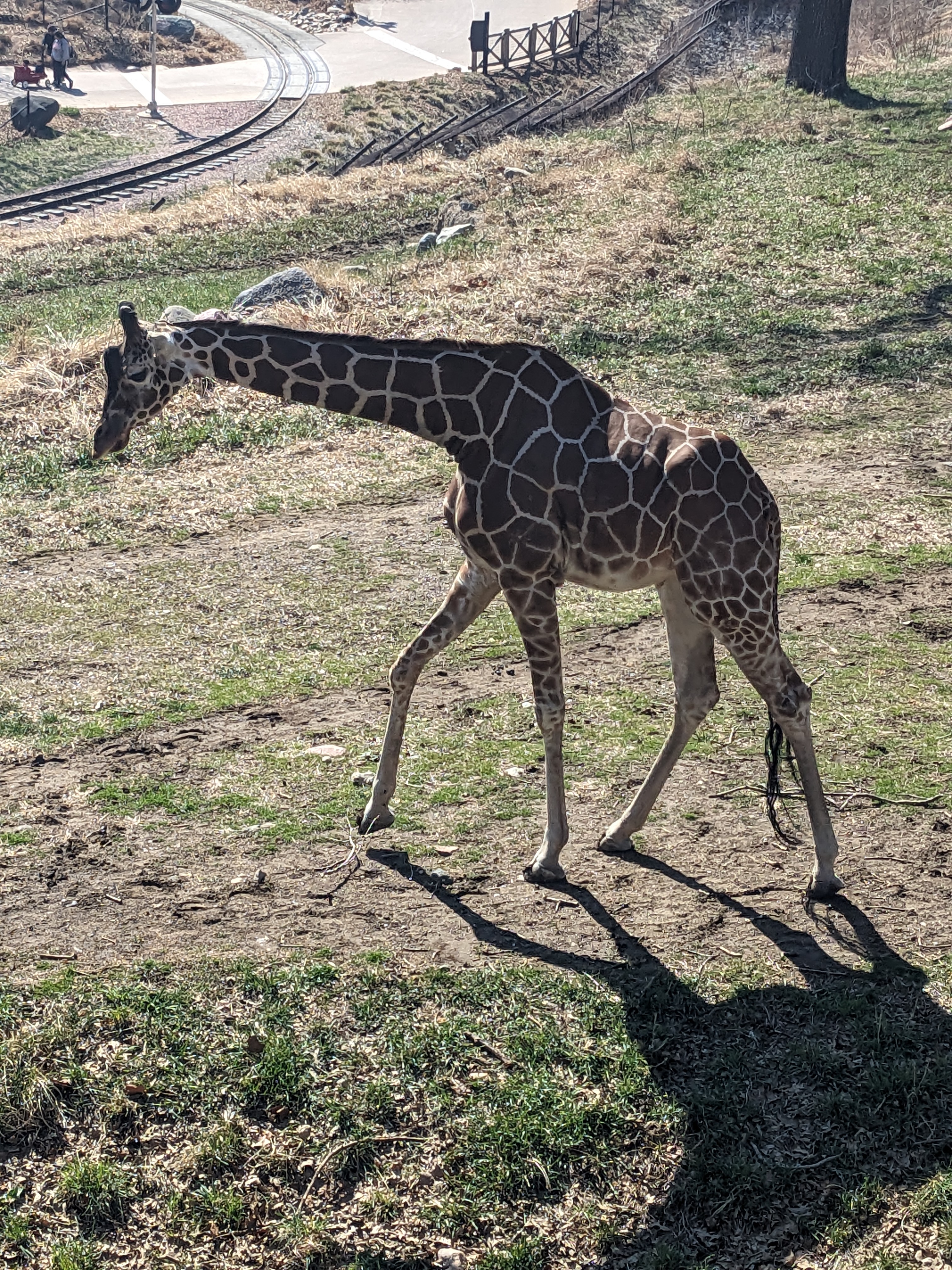 PXL 20240328 162515126