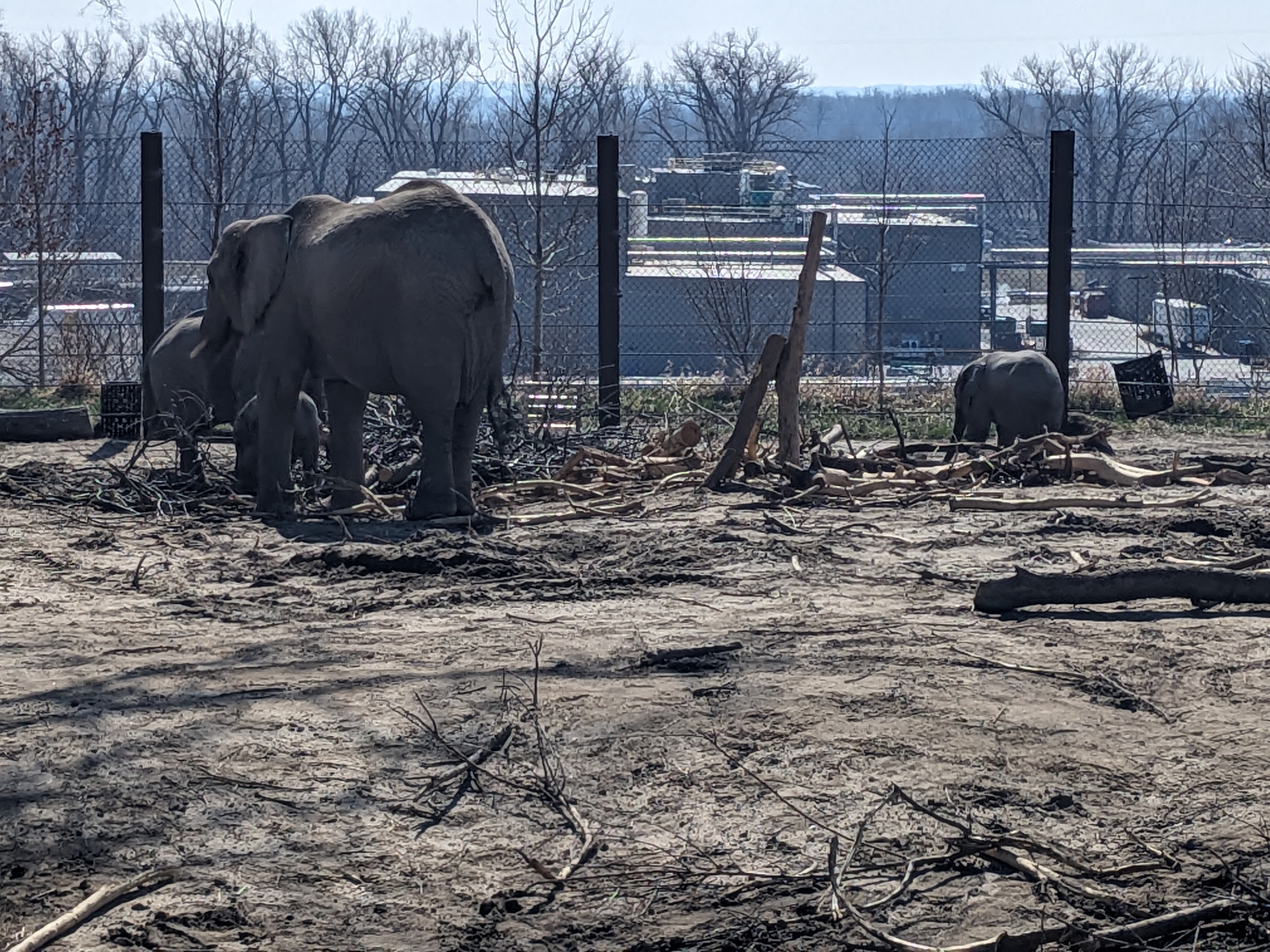 PXL 20240328 164043455