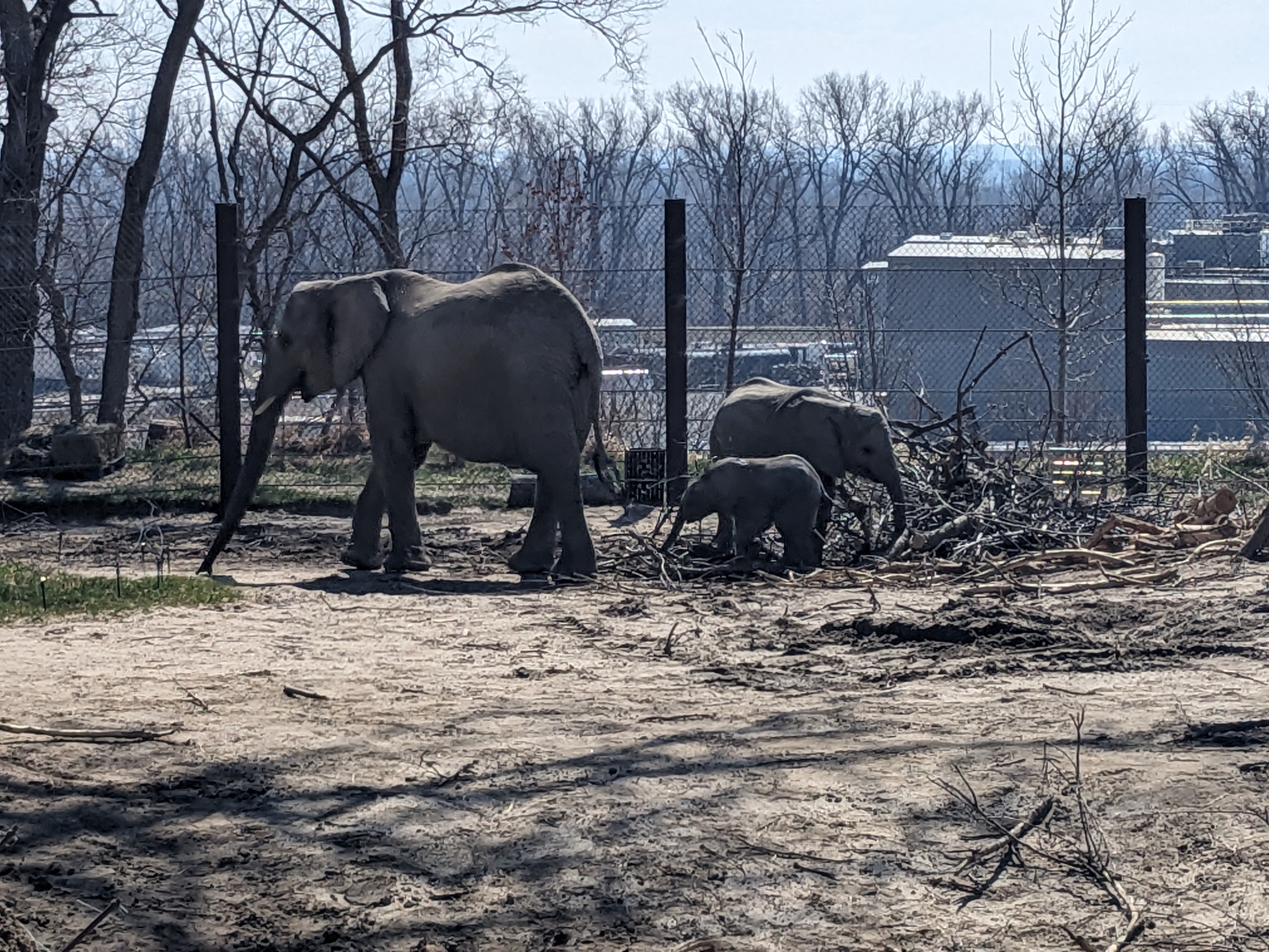 PXL 20240328 164157839