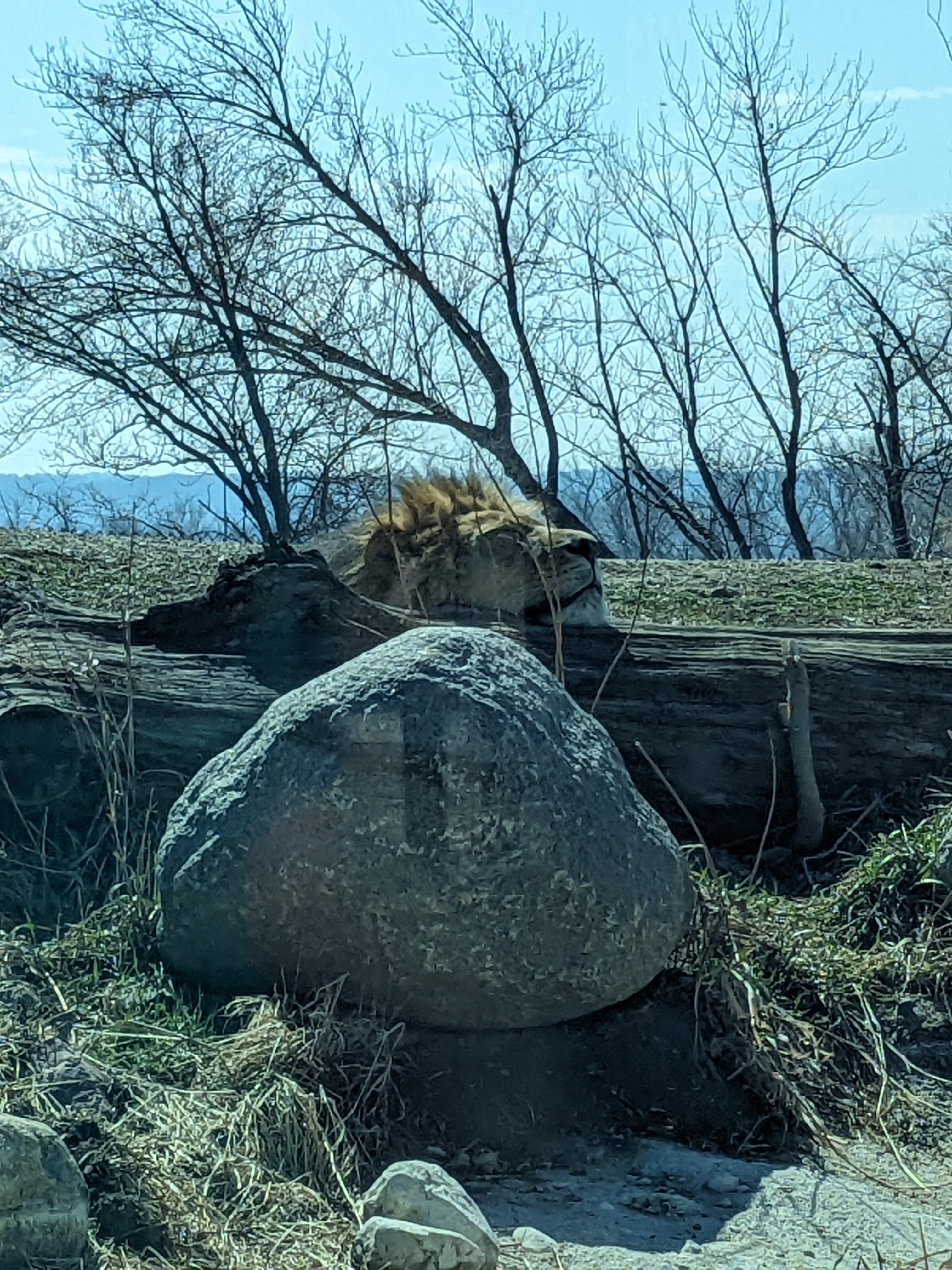 PXL 20240328 170545121