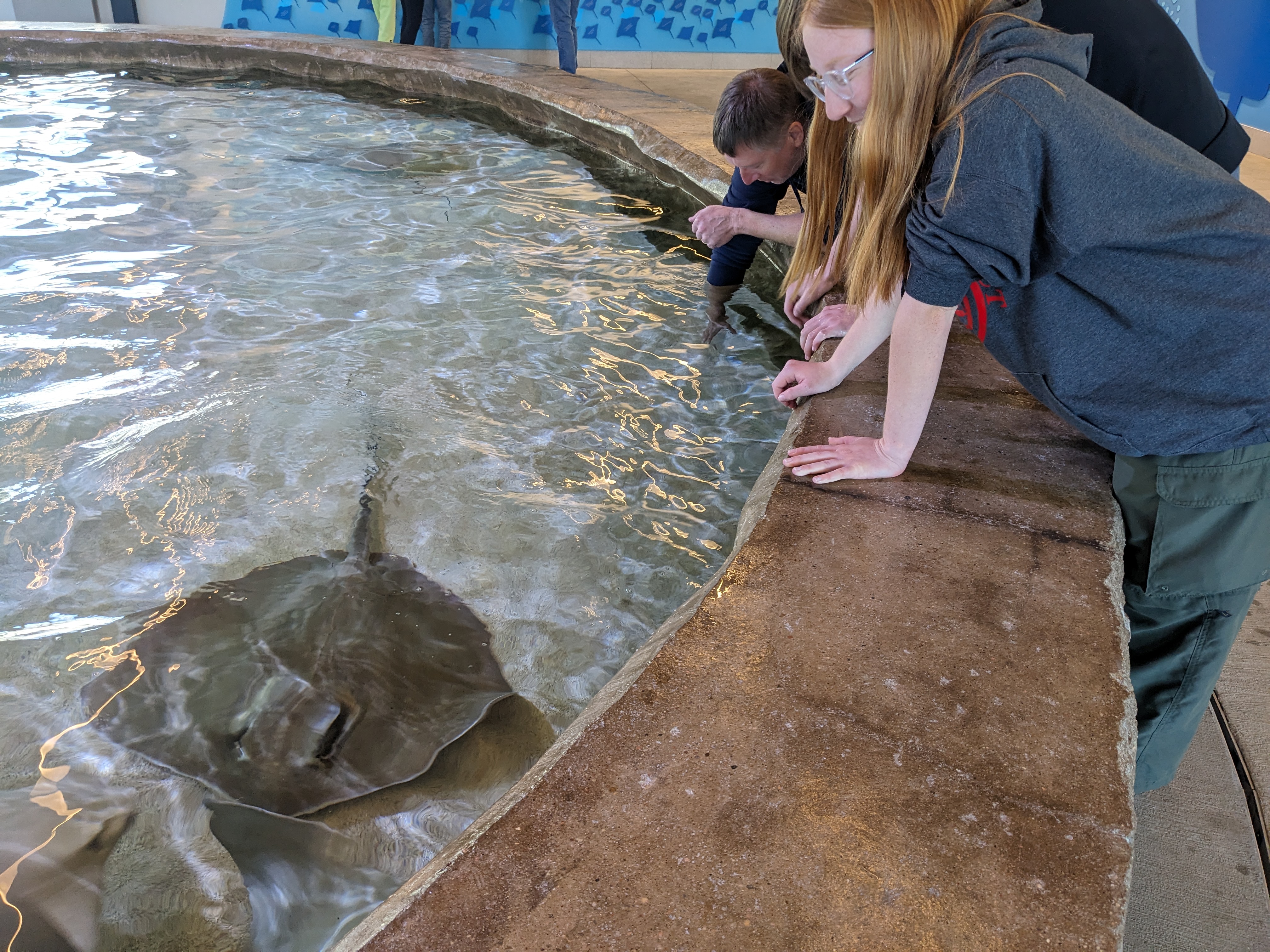 PXL 20240328 172723241