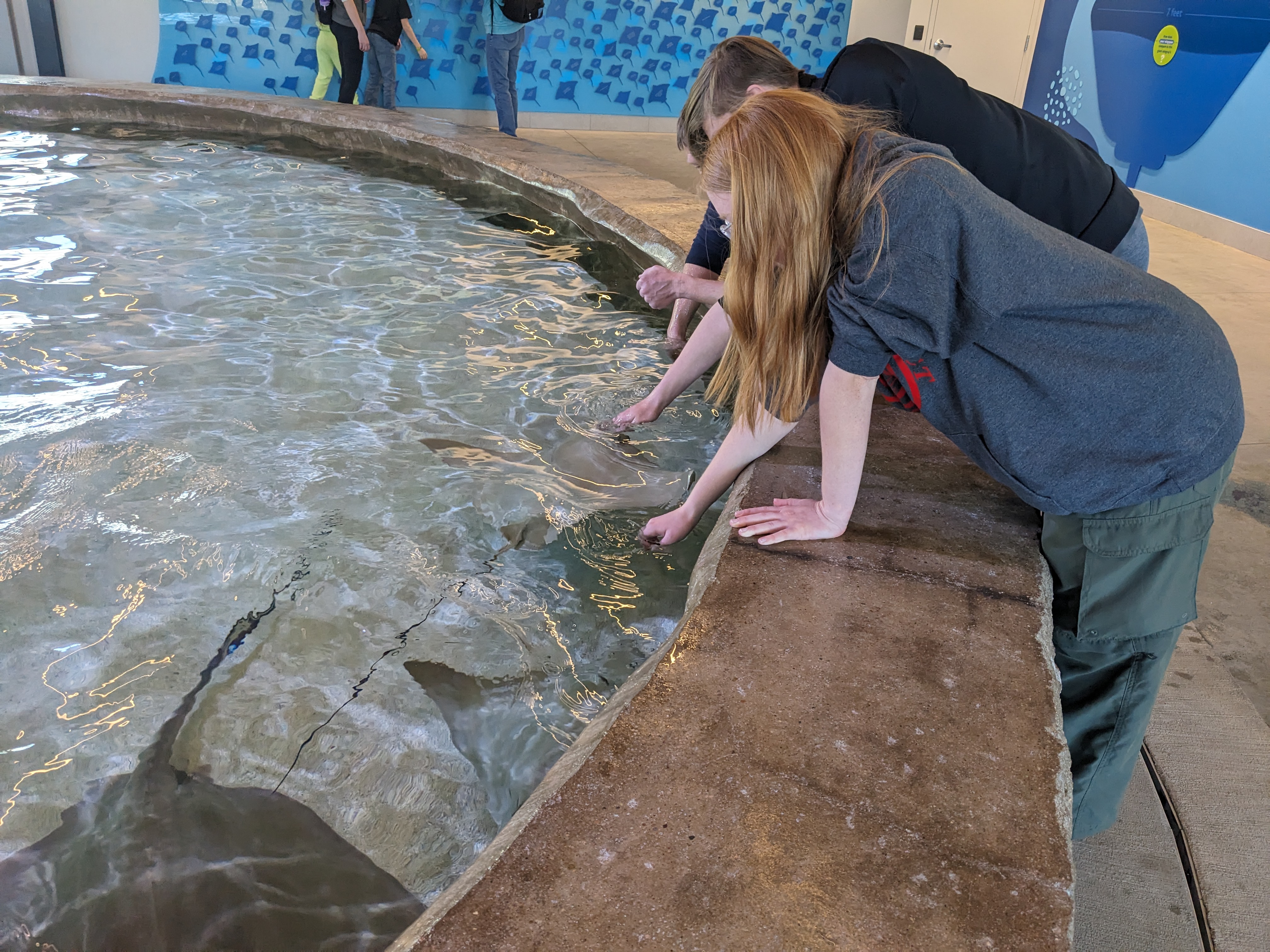 PXL 20240328 172725078