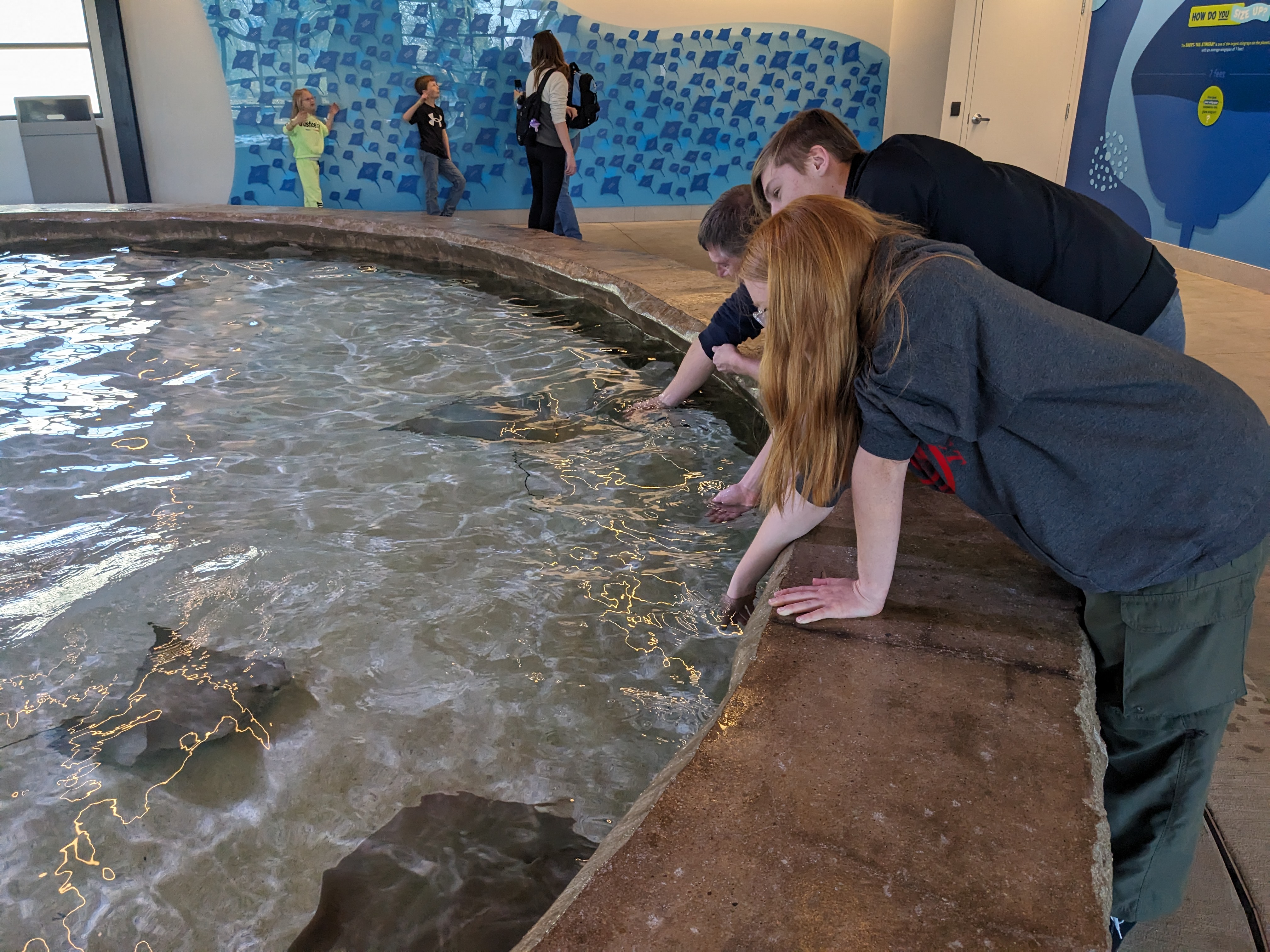 PXL 20240328 172732258