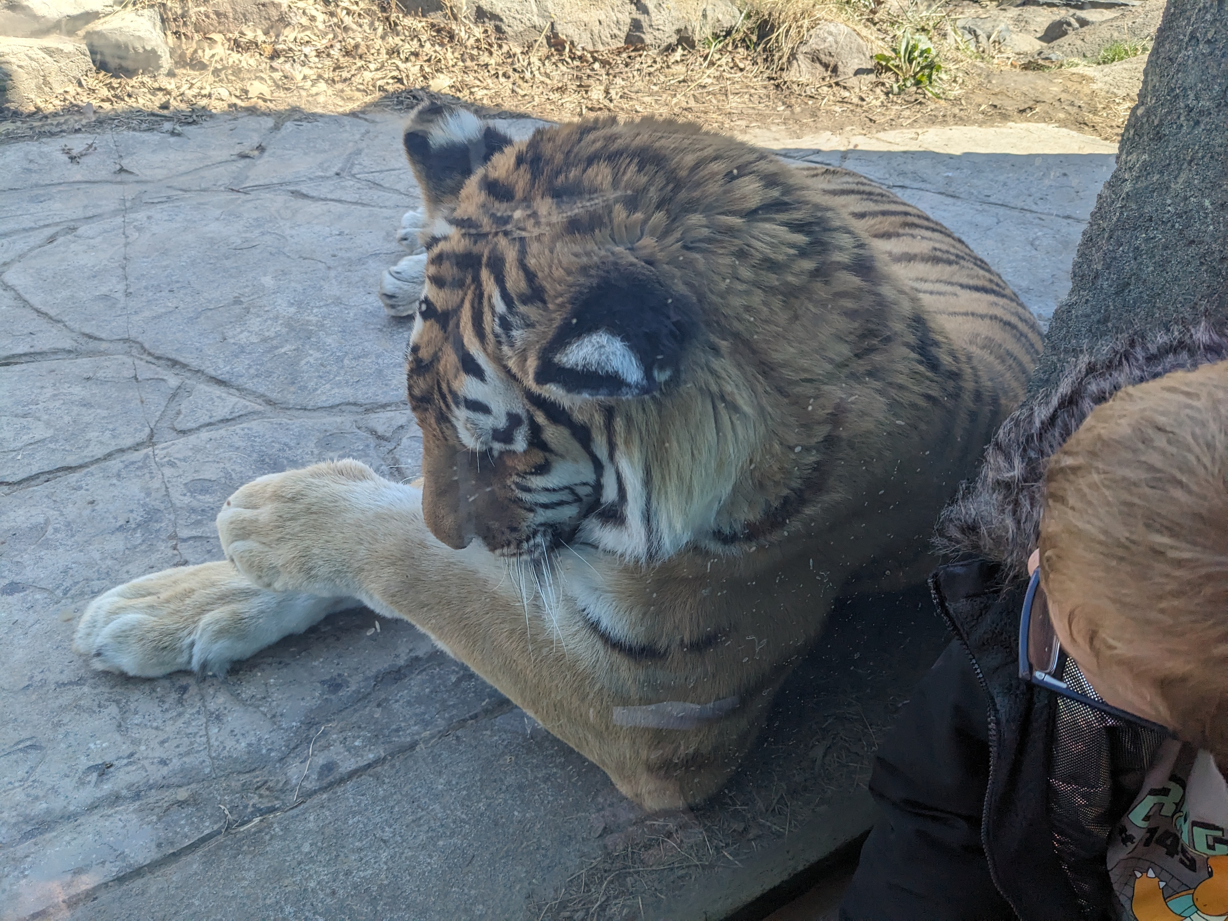 PXL 20240328 175309761