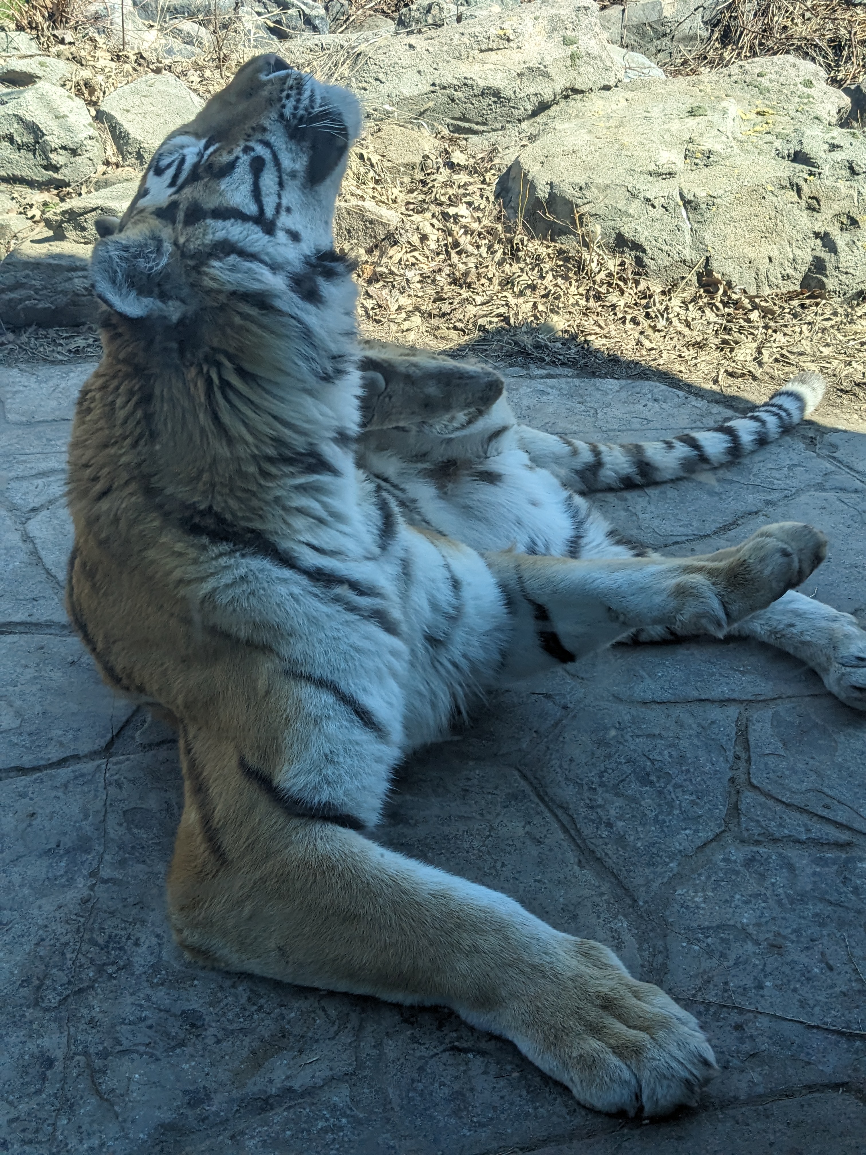 PXL 20240328 175517569