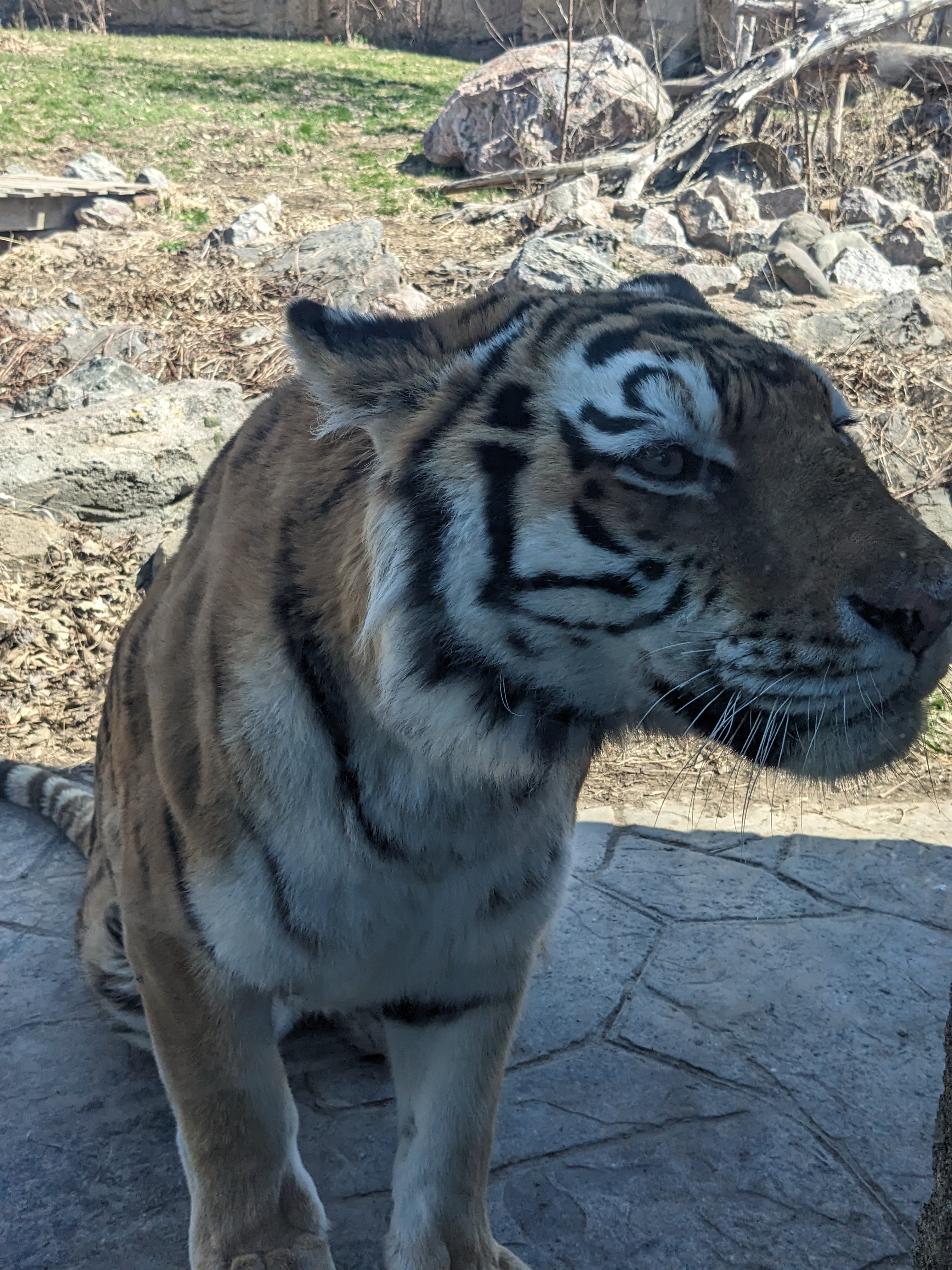 PXL 20240328 175521846