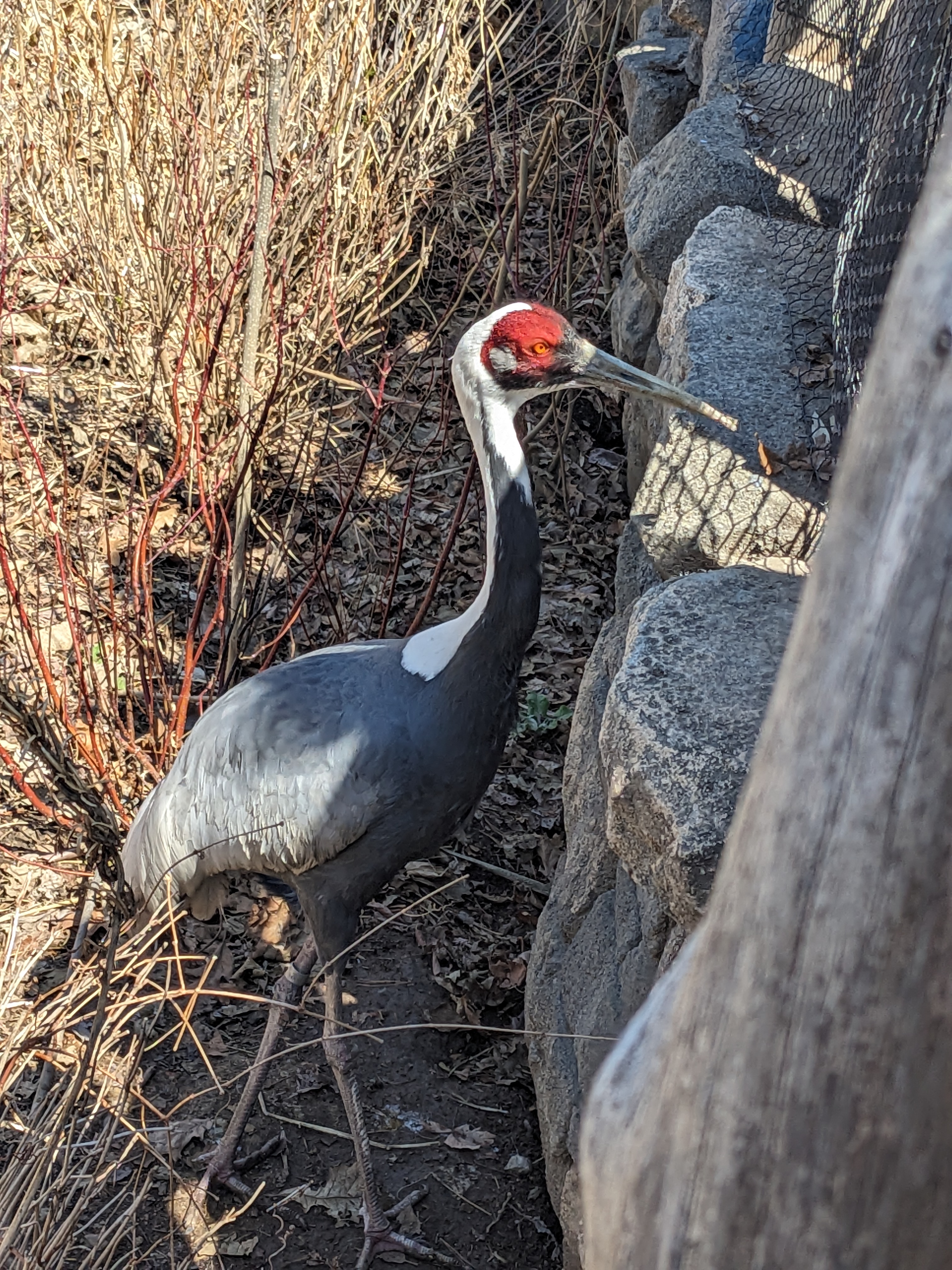 PXL 20240328 181300098