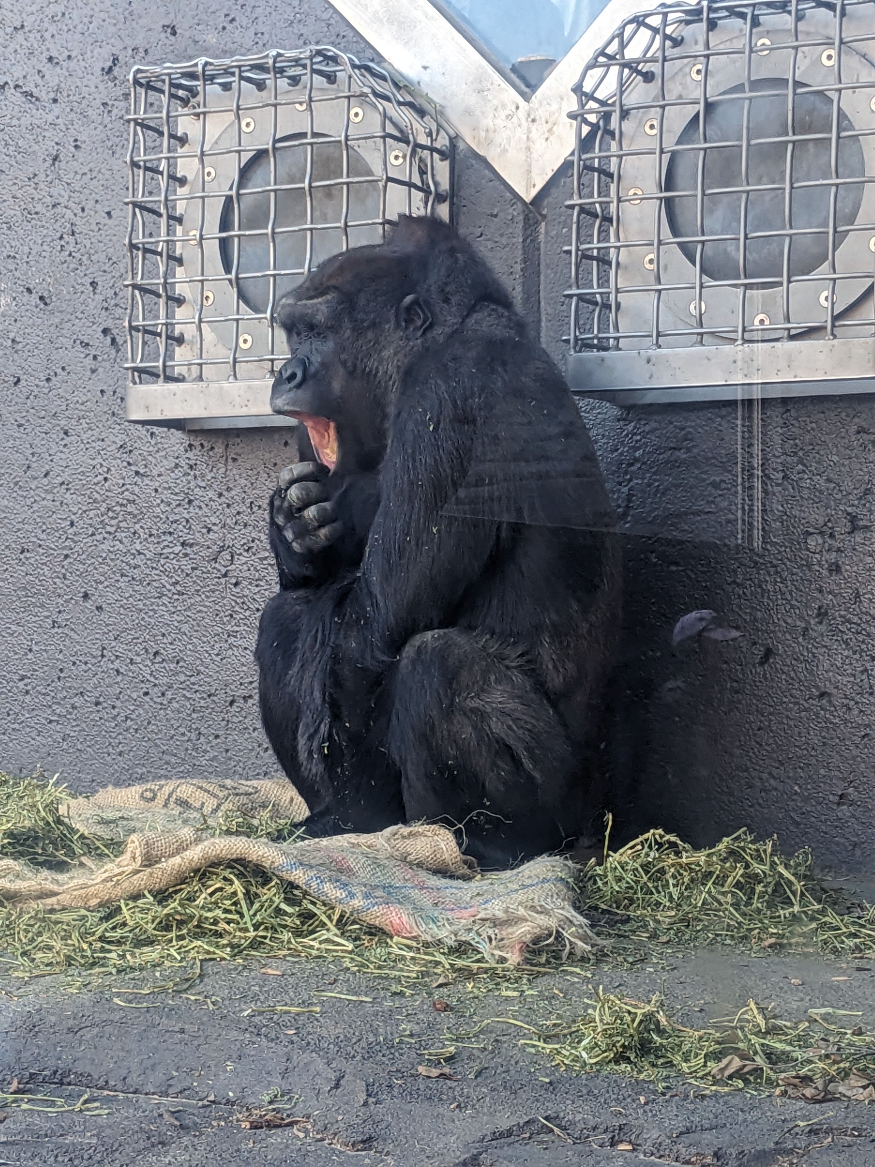 PXL 20240328 193656440