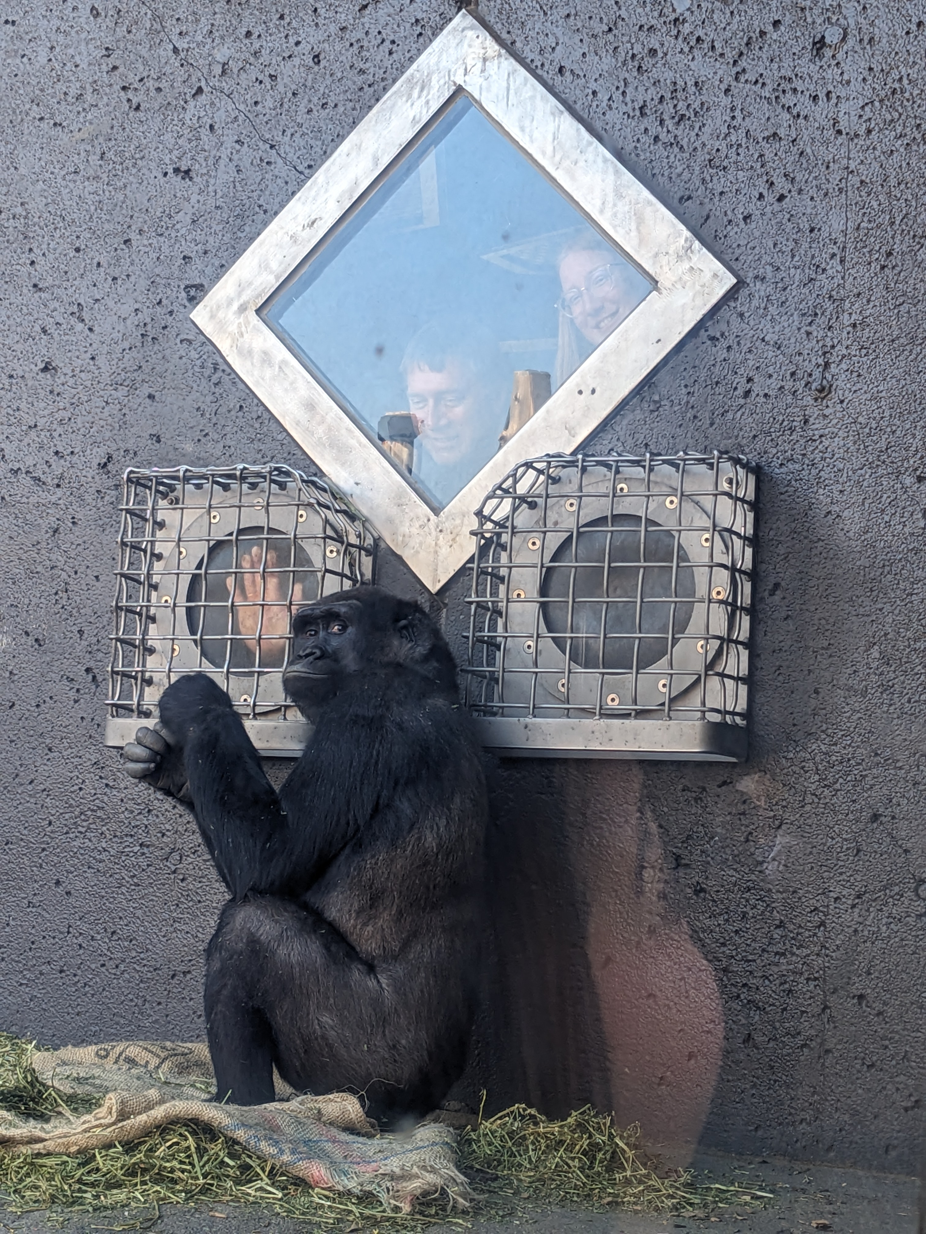 PXL 20240328 194135903