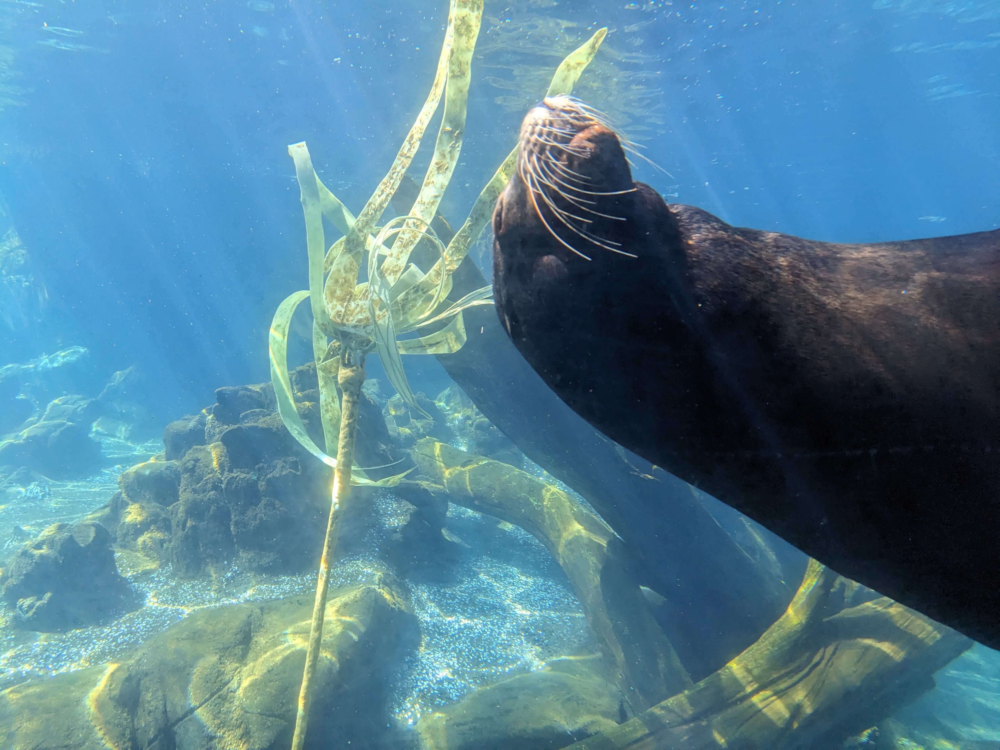 PXL 20240328 195550349