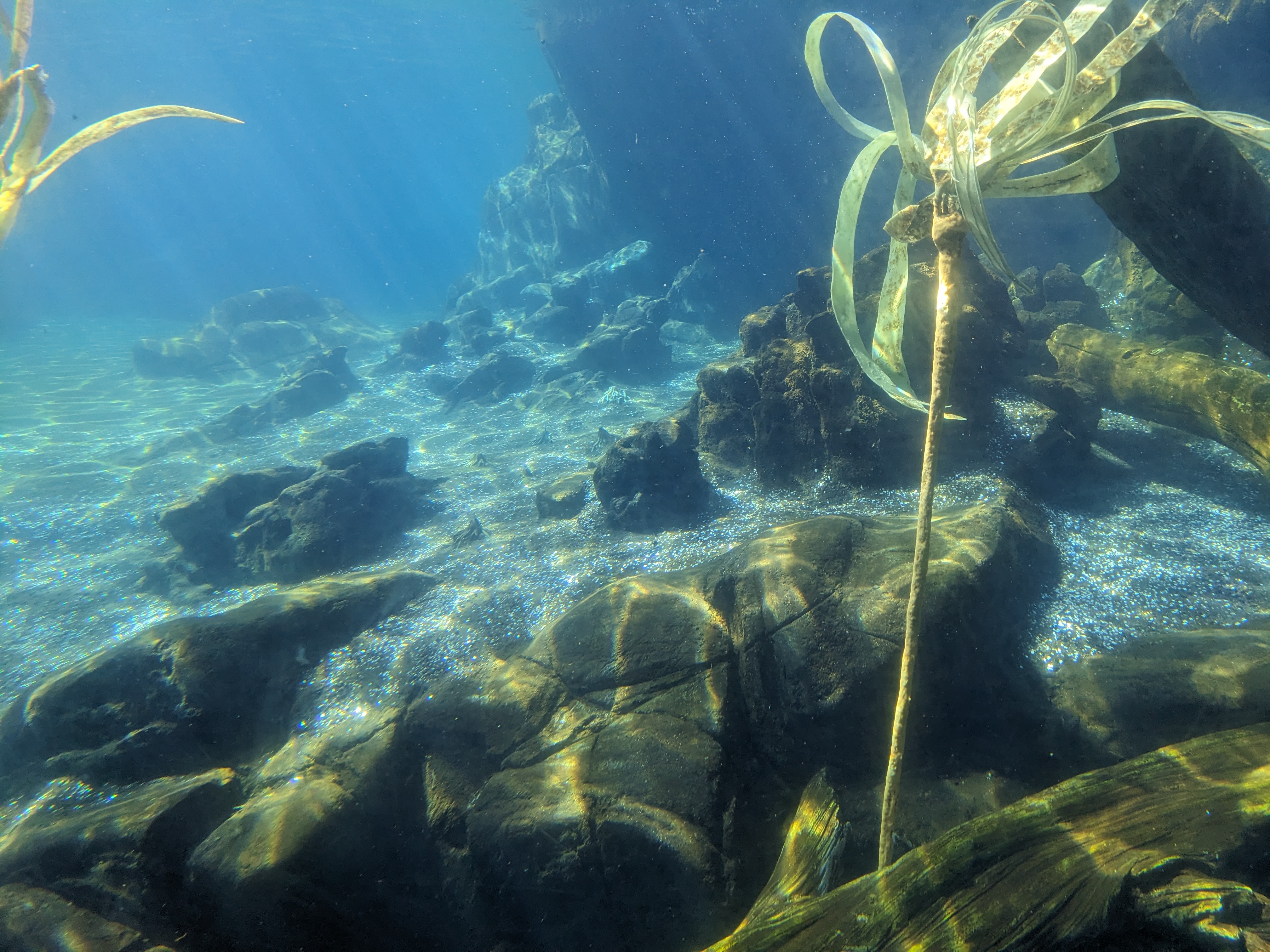 PXL 20240328 195618525