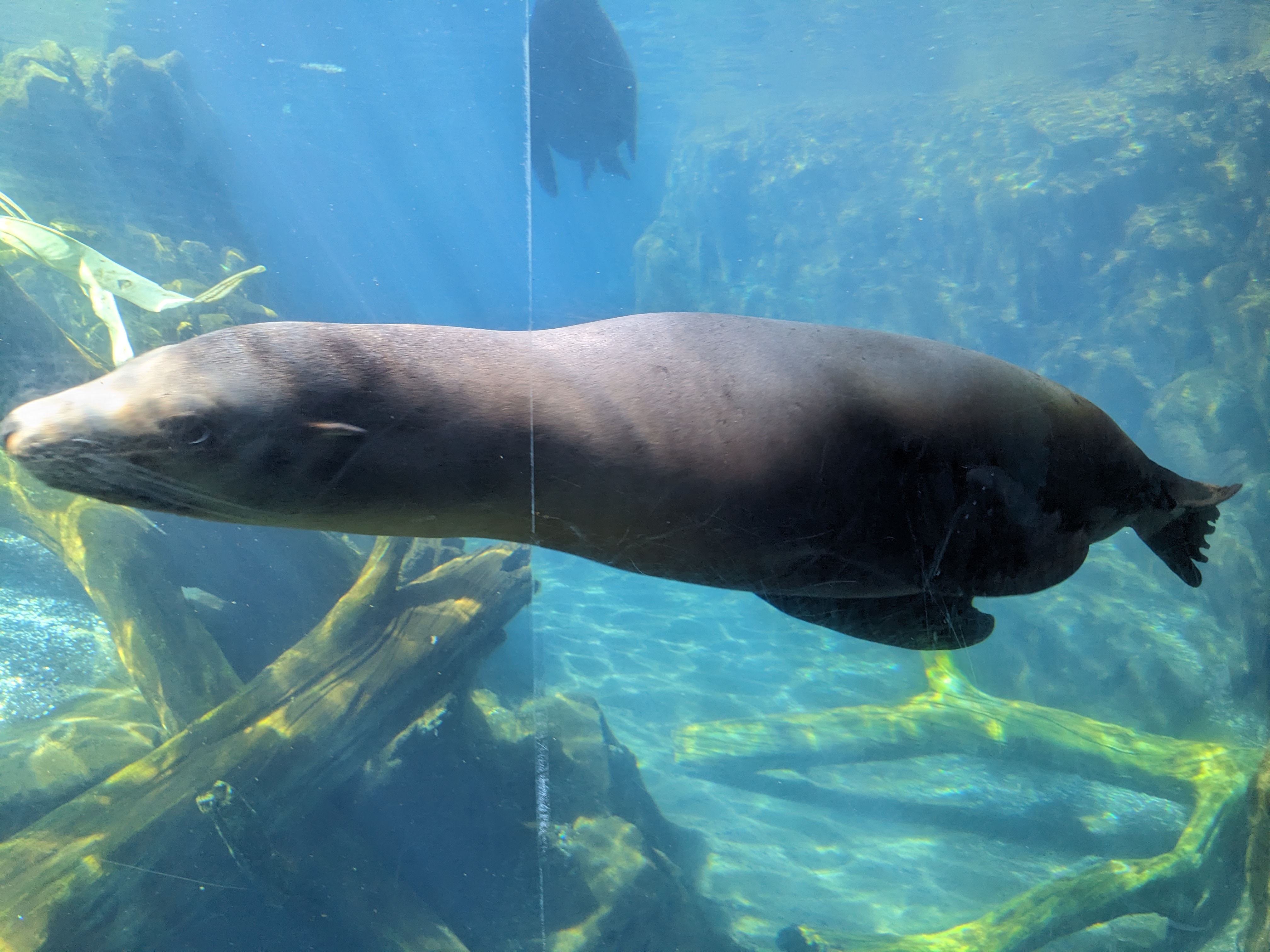 PXL 20240328 195636154