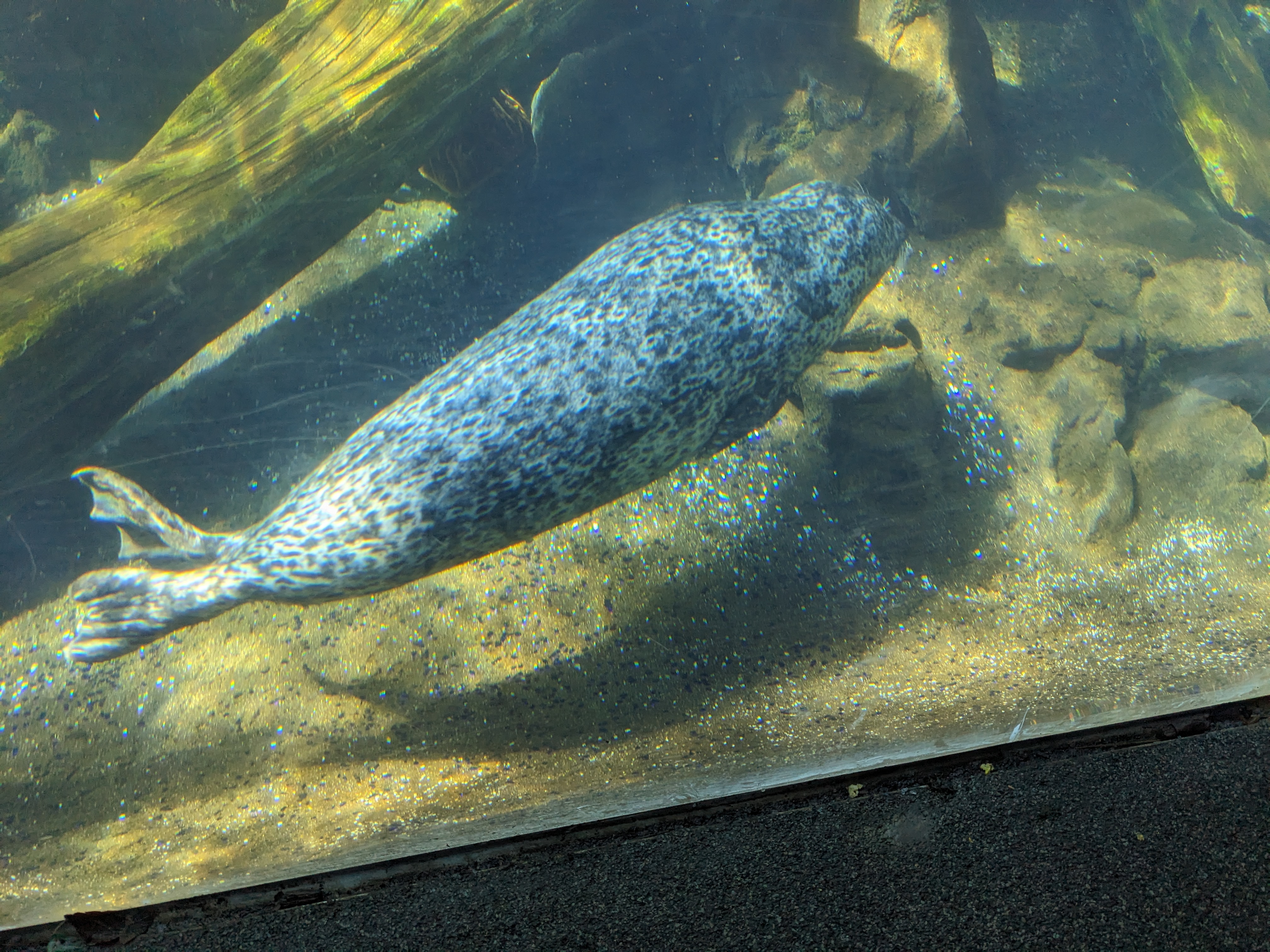 PXL 20240328 195642075