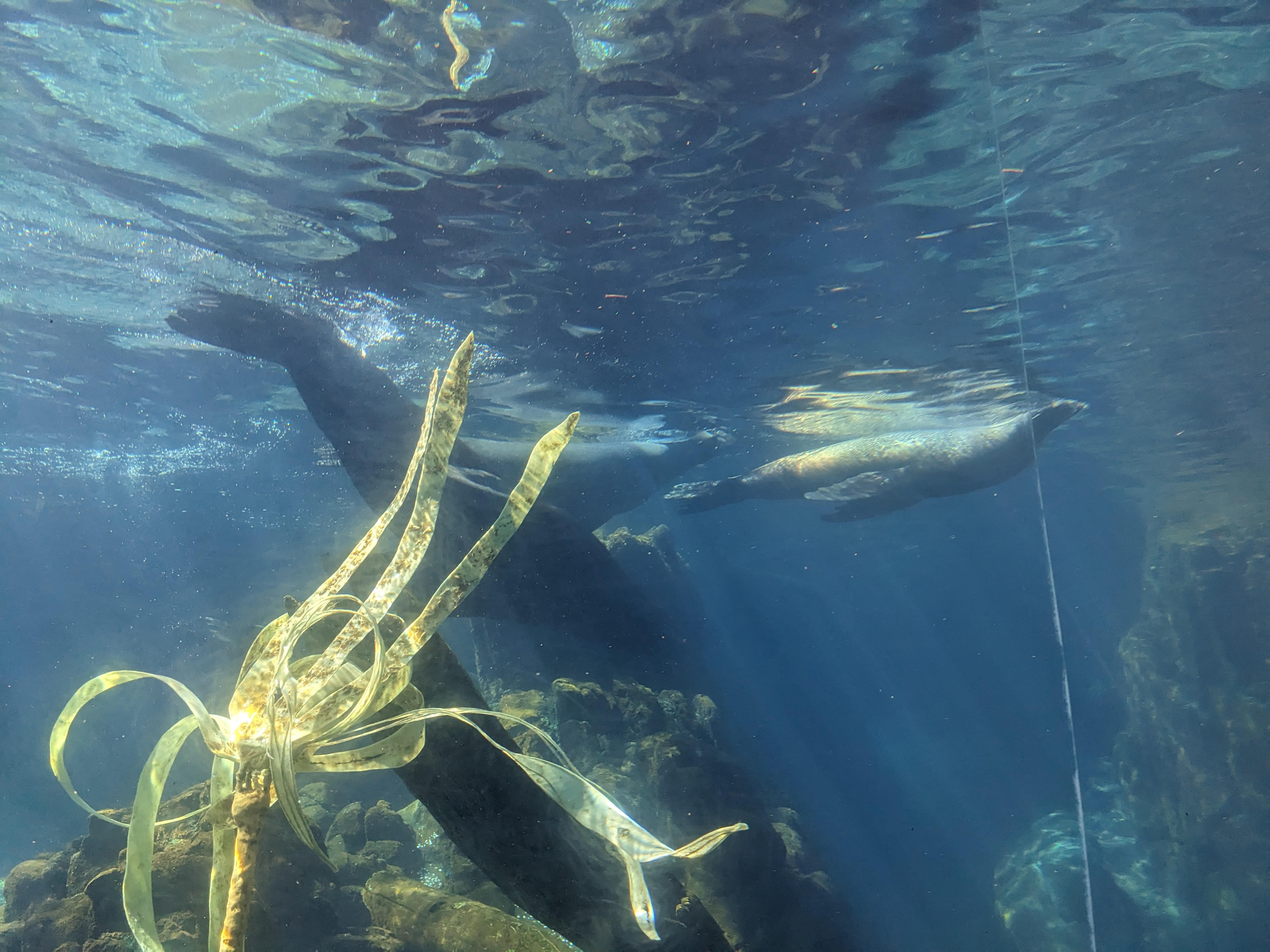 PXL 20240328 195714494