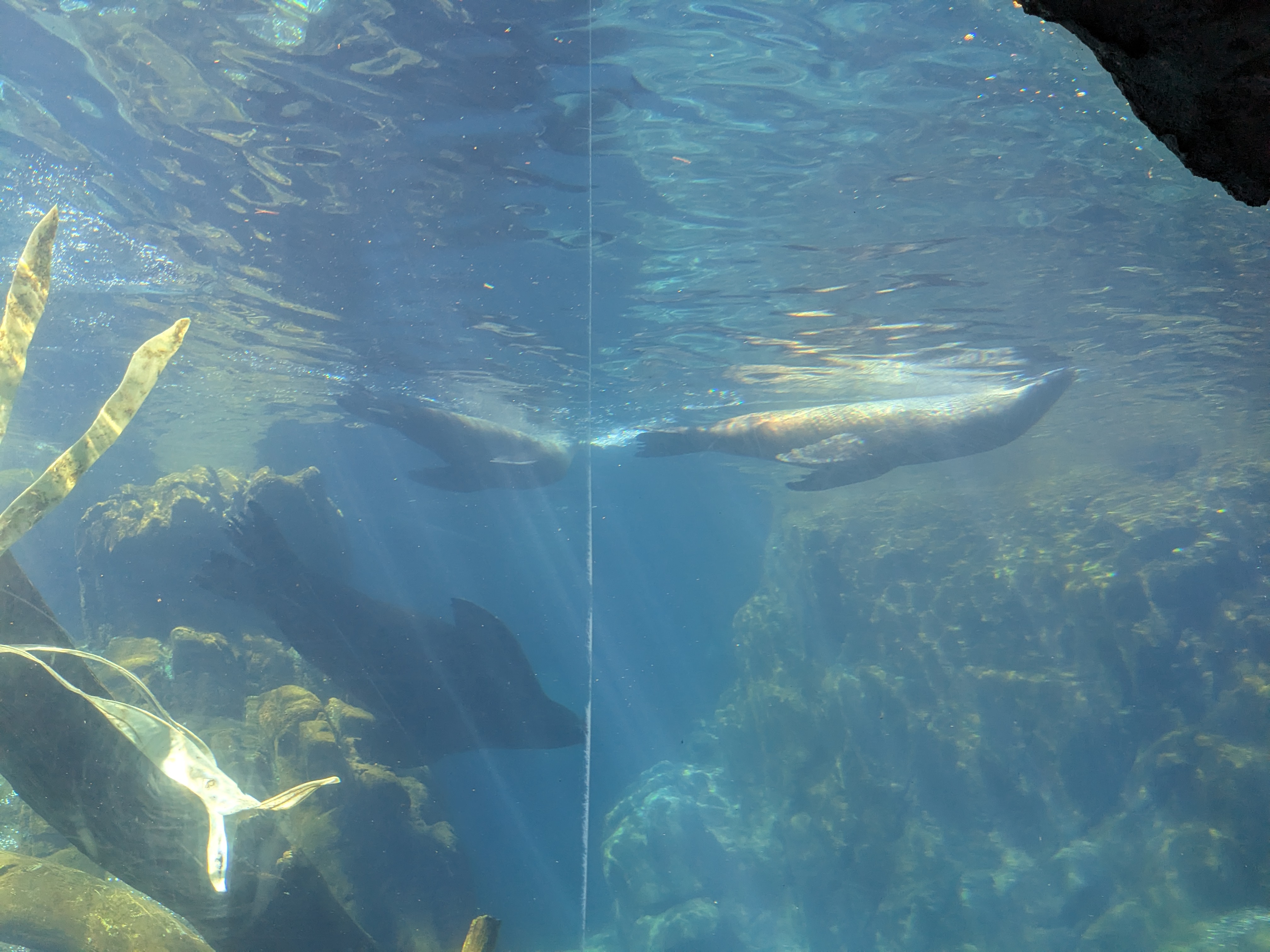 PXL 20240328 195715864