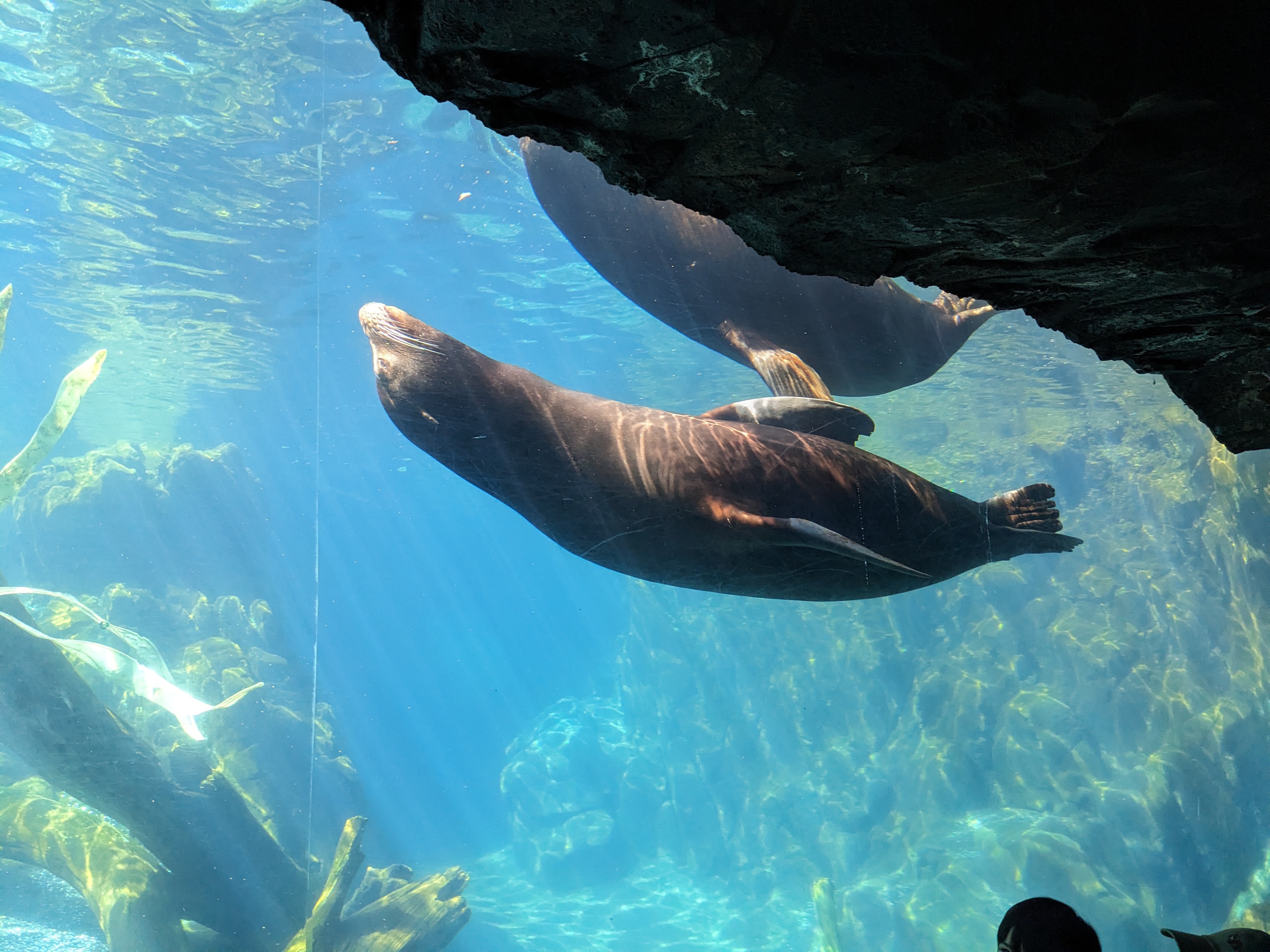 PXL 20240328 195826933