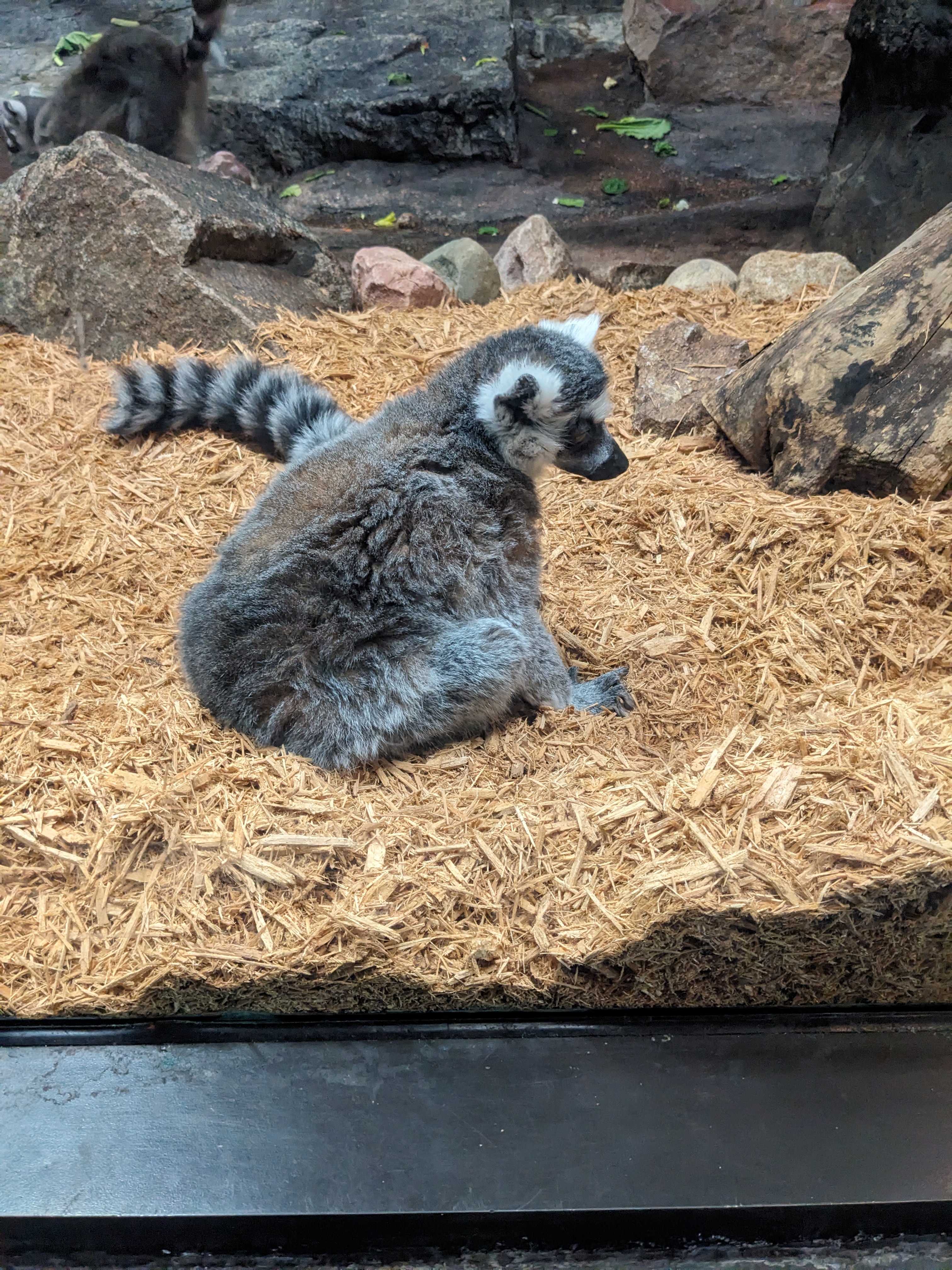 PXL 20240328 200917802