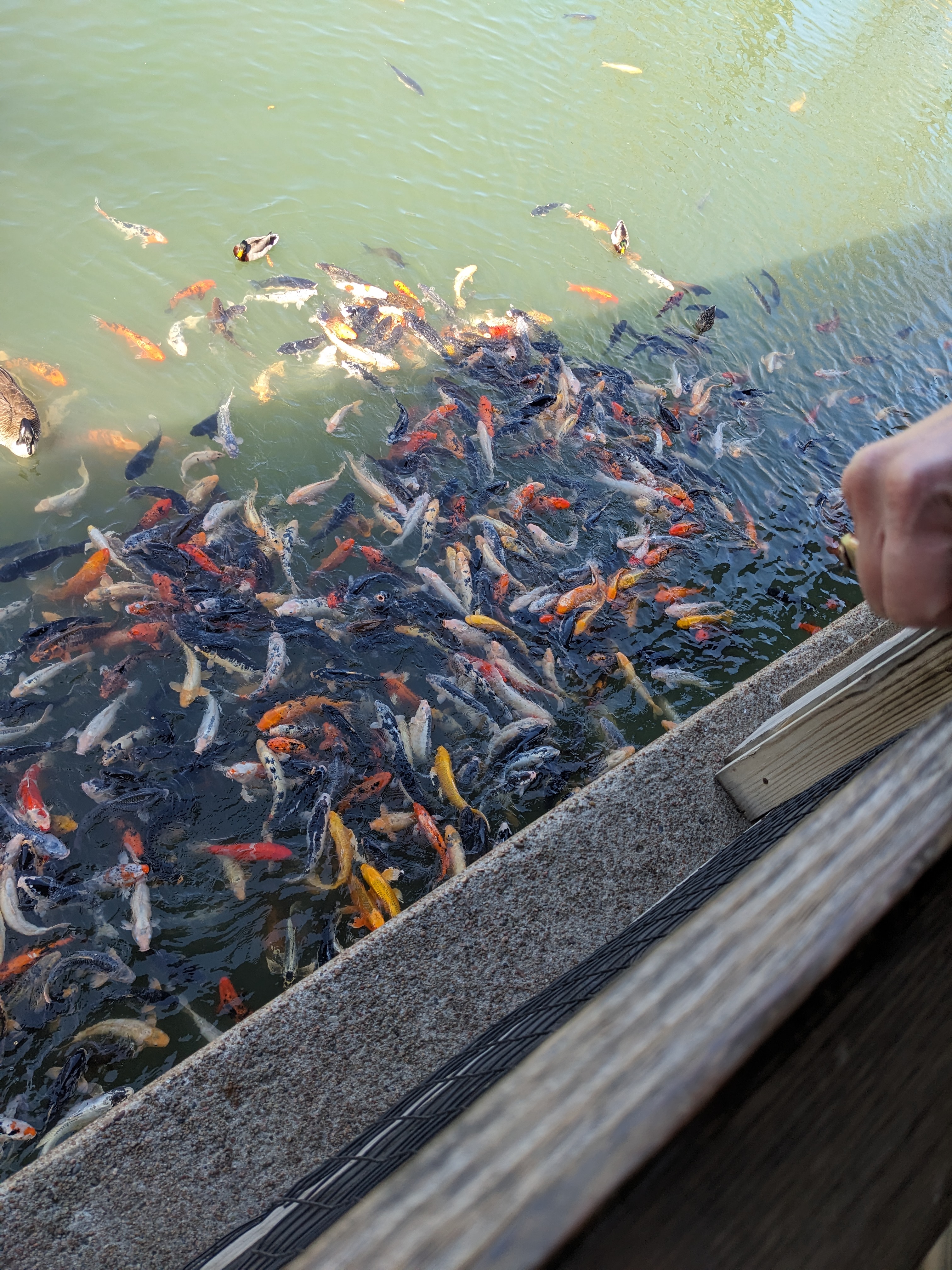 PXL 20240328 202139265