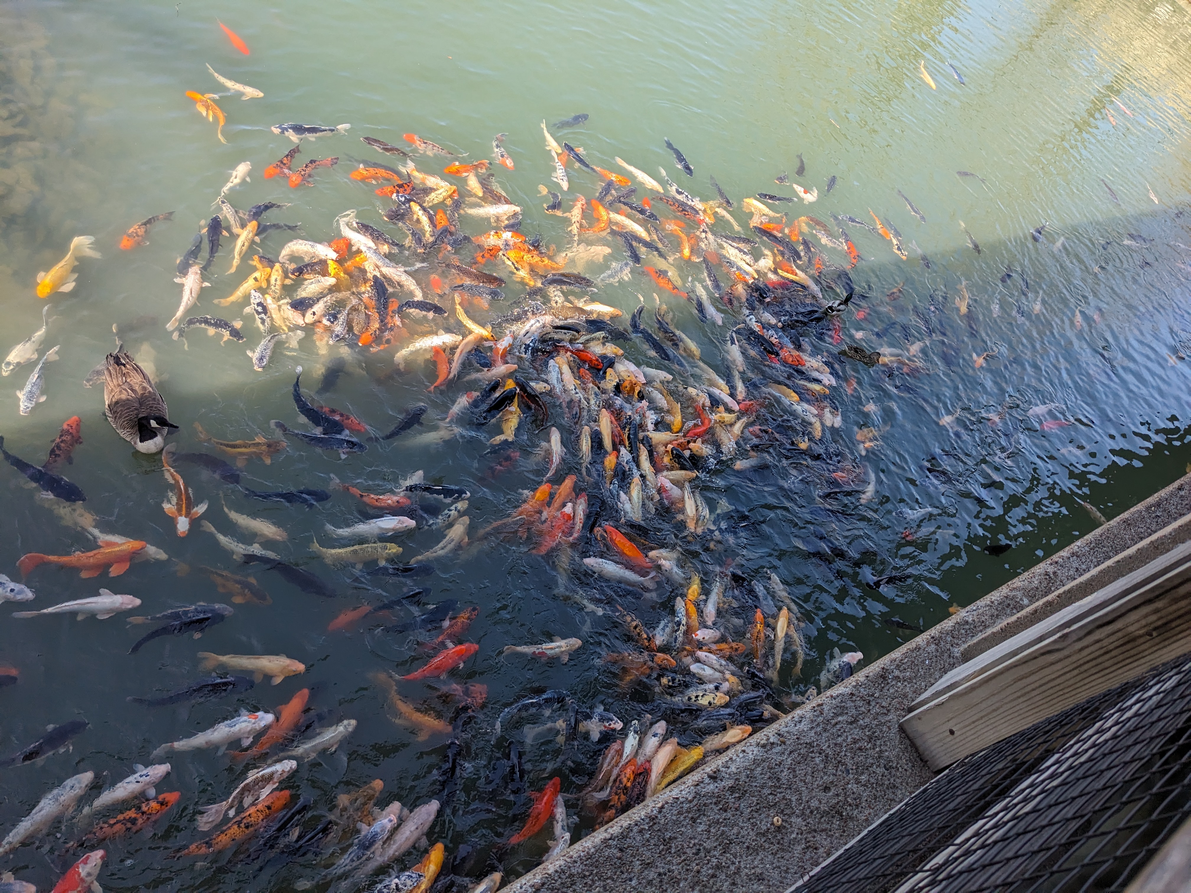 PXL 20240328 202211748