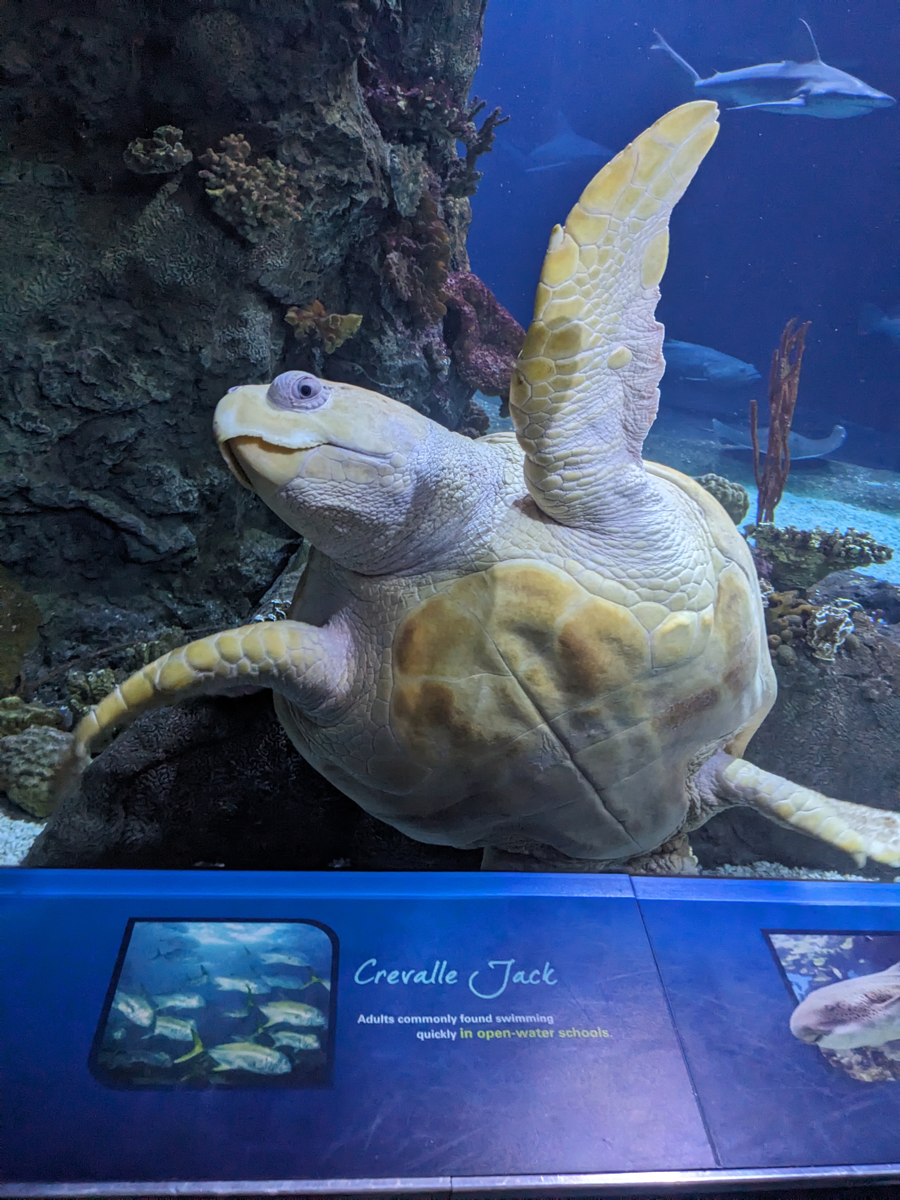 PXL 20240328 205138768