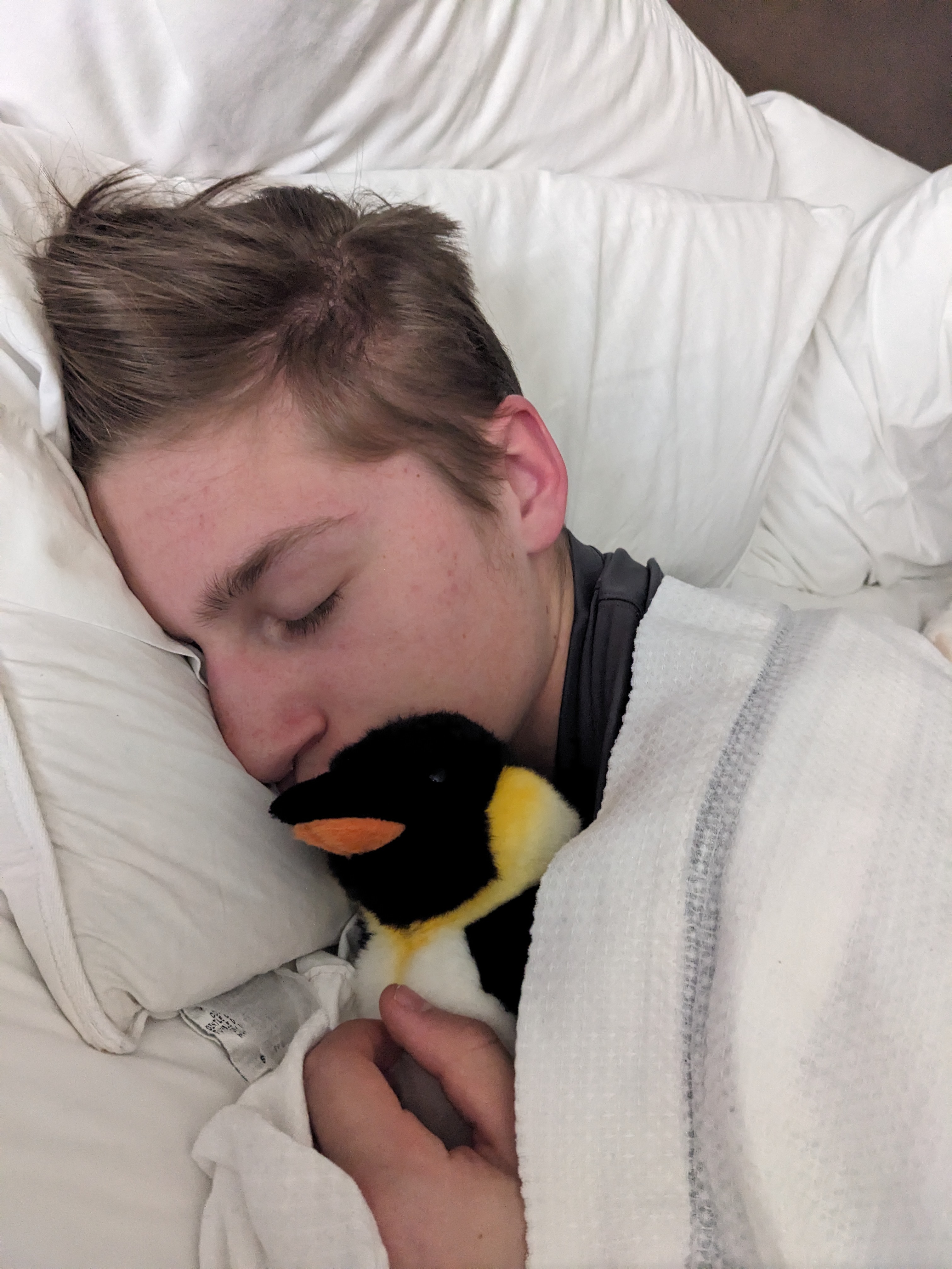 PXL 20240328 225409443