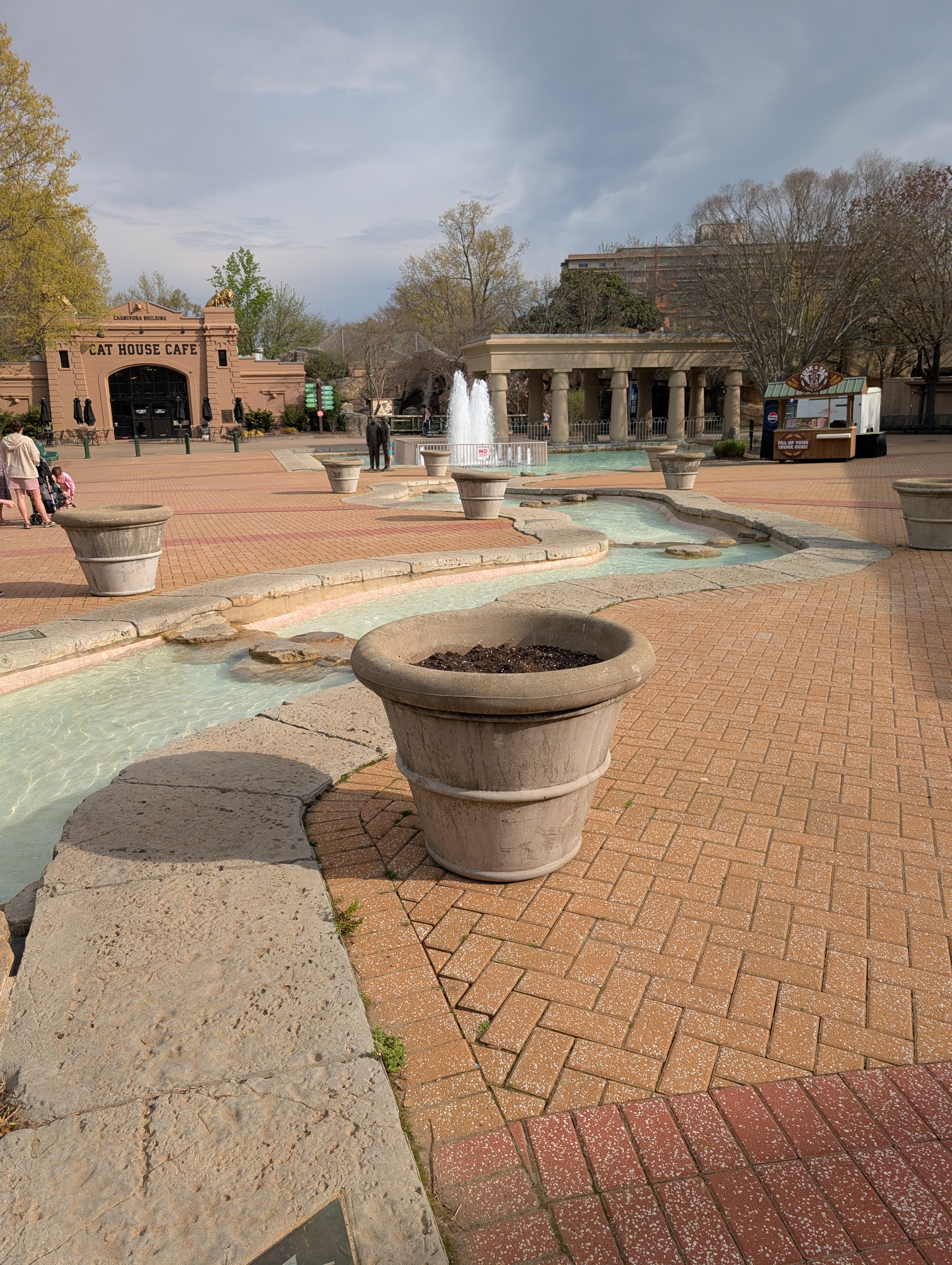 PXL 20250328 141948991