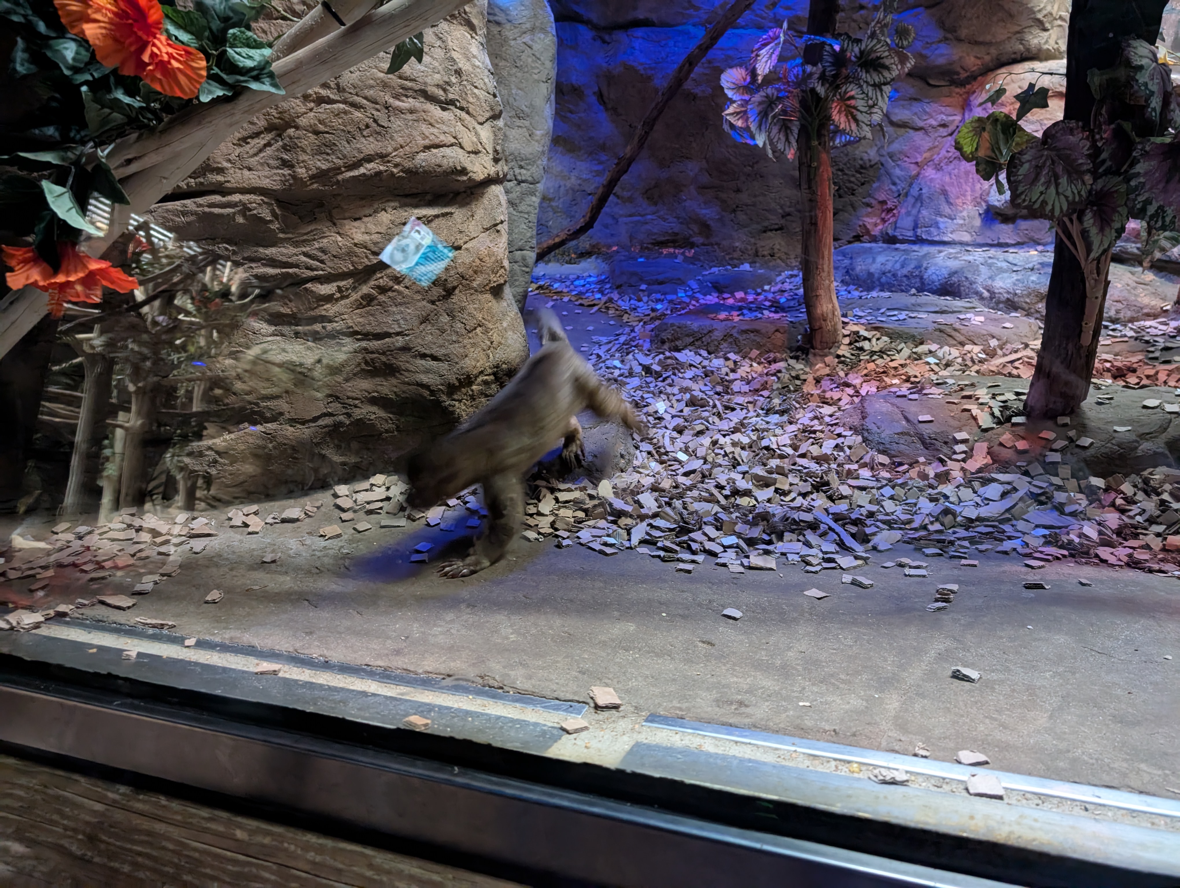 PXL 20250328 142542557