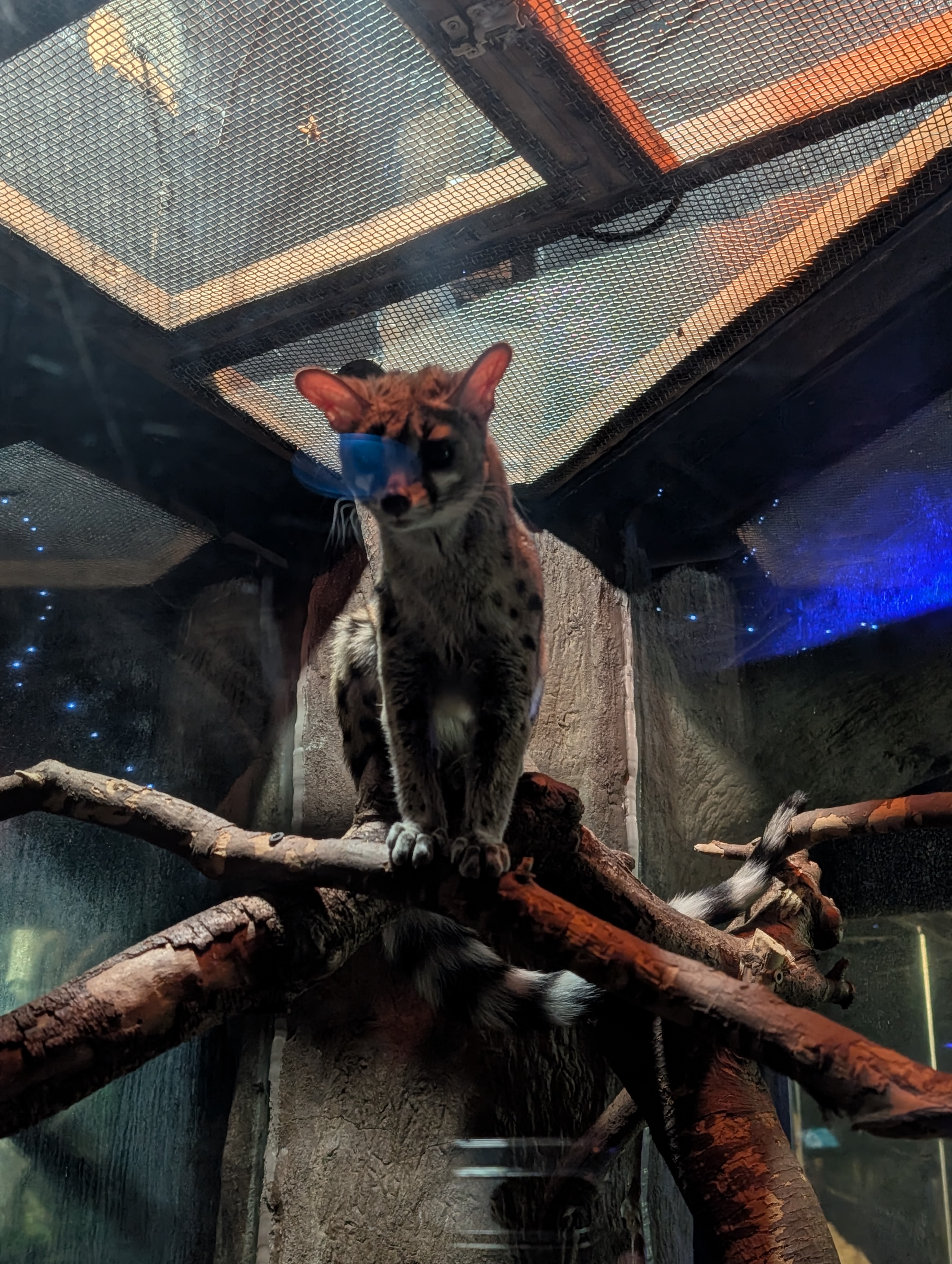 PXL 20250328 142947187