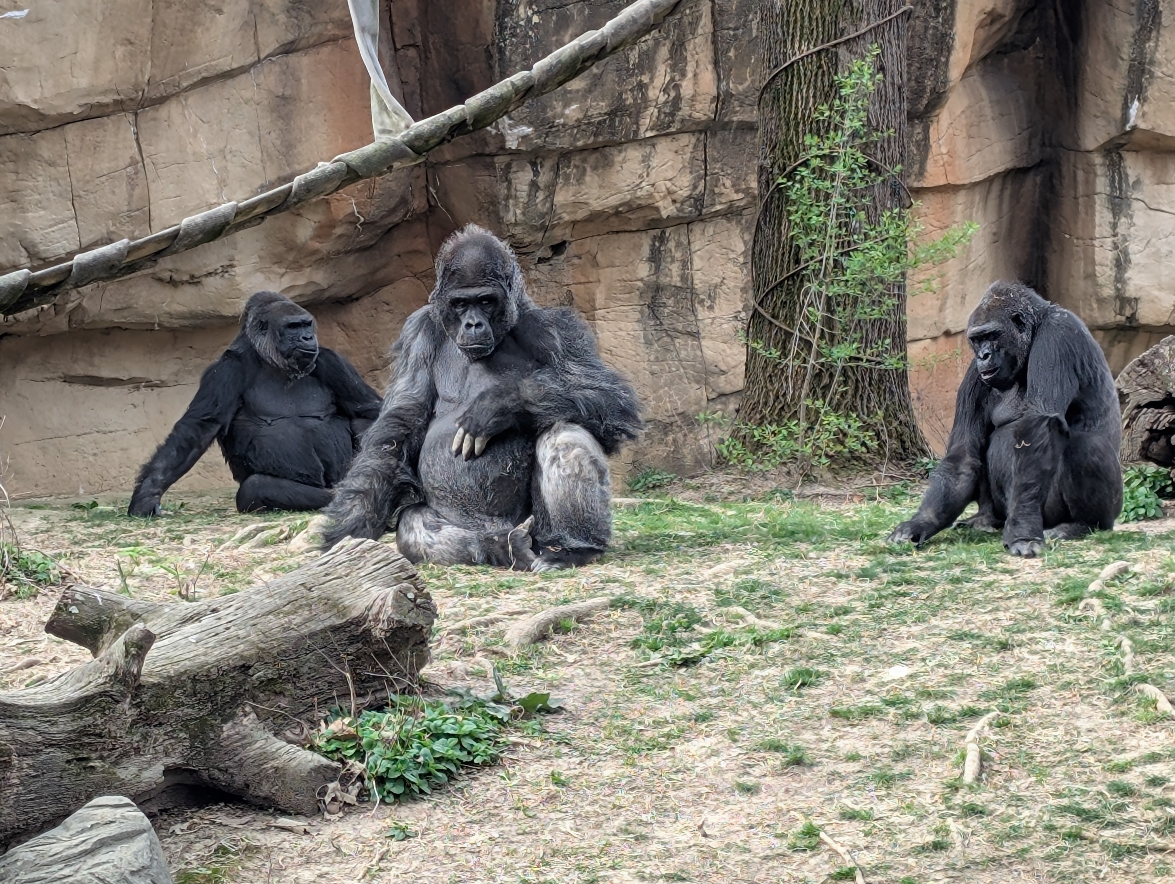 PXL 20250328 144216603