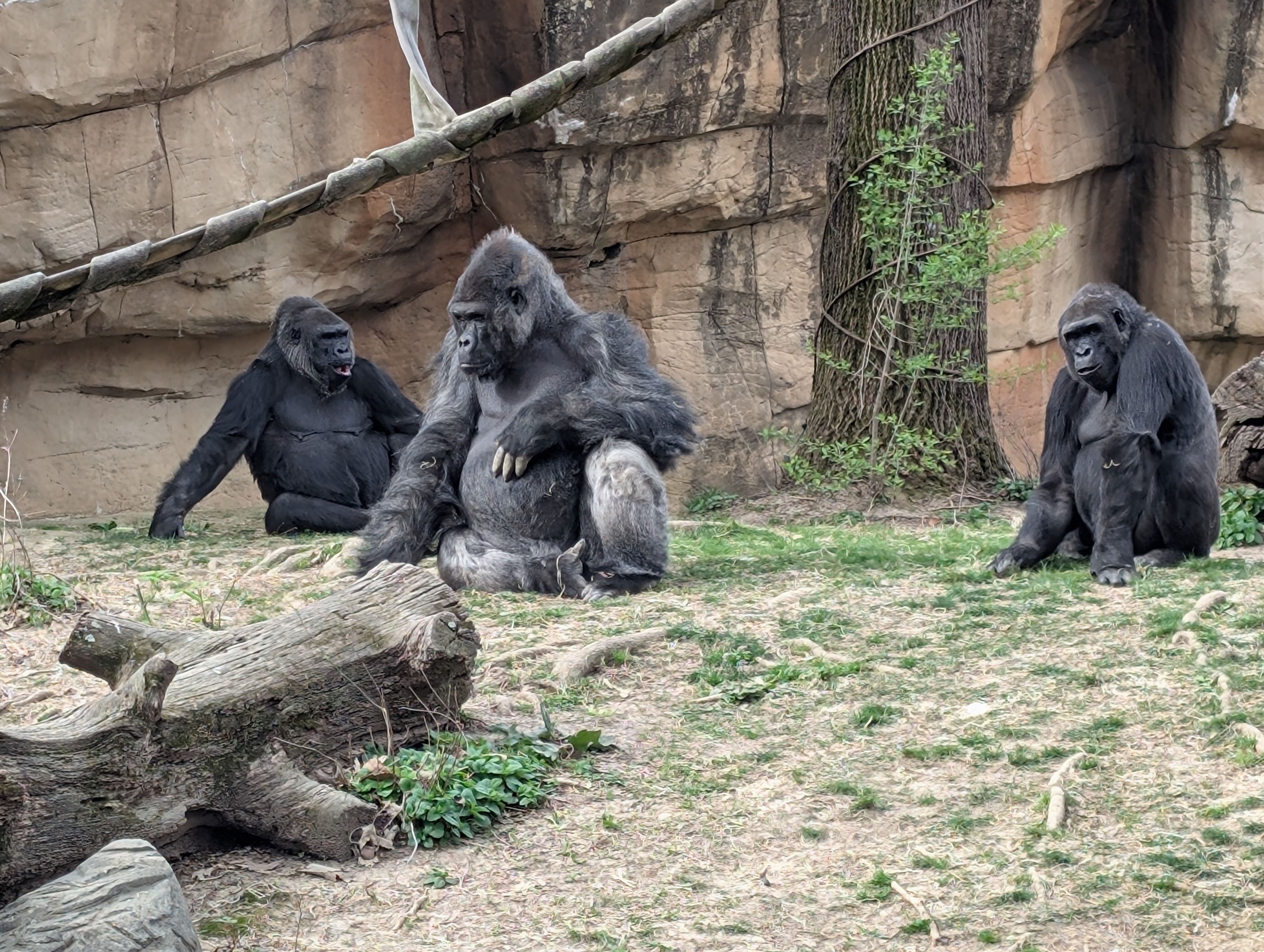 PXL 20250328 144218799