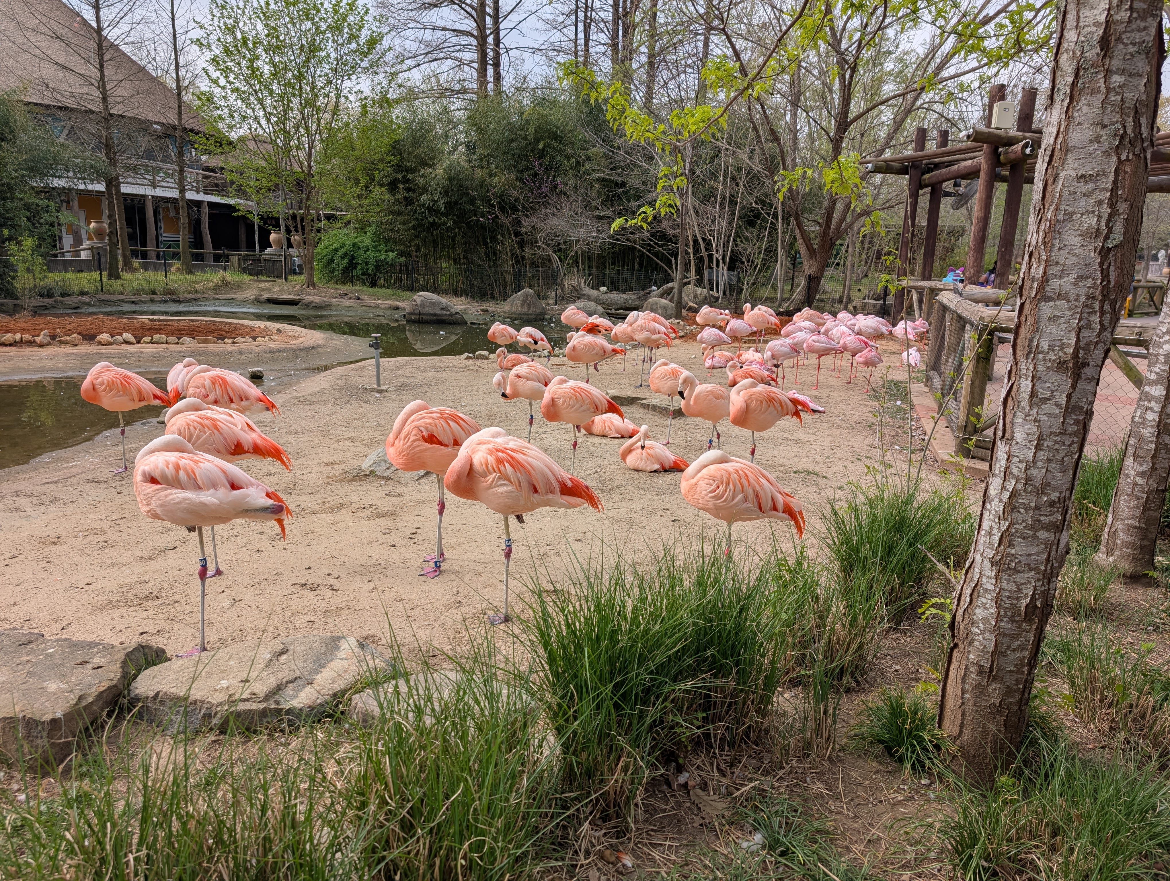 PXL 20250328 144955653