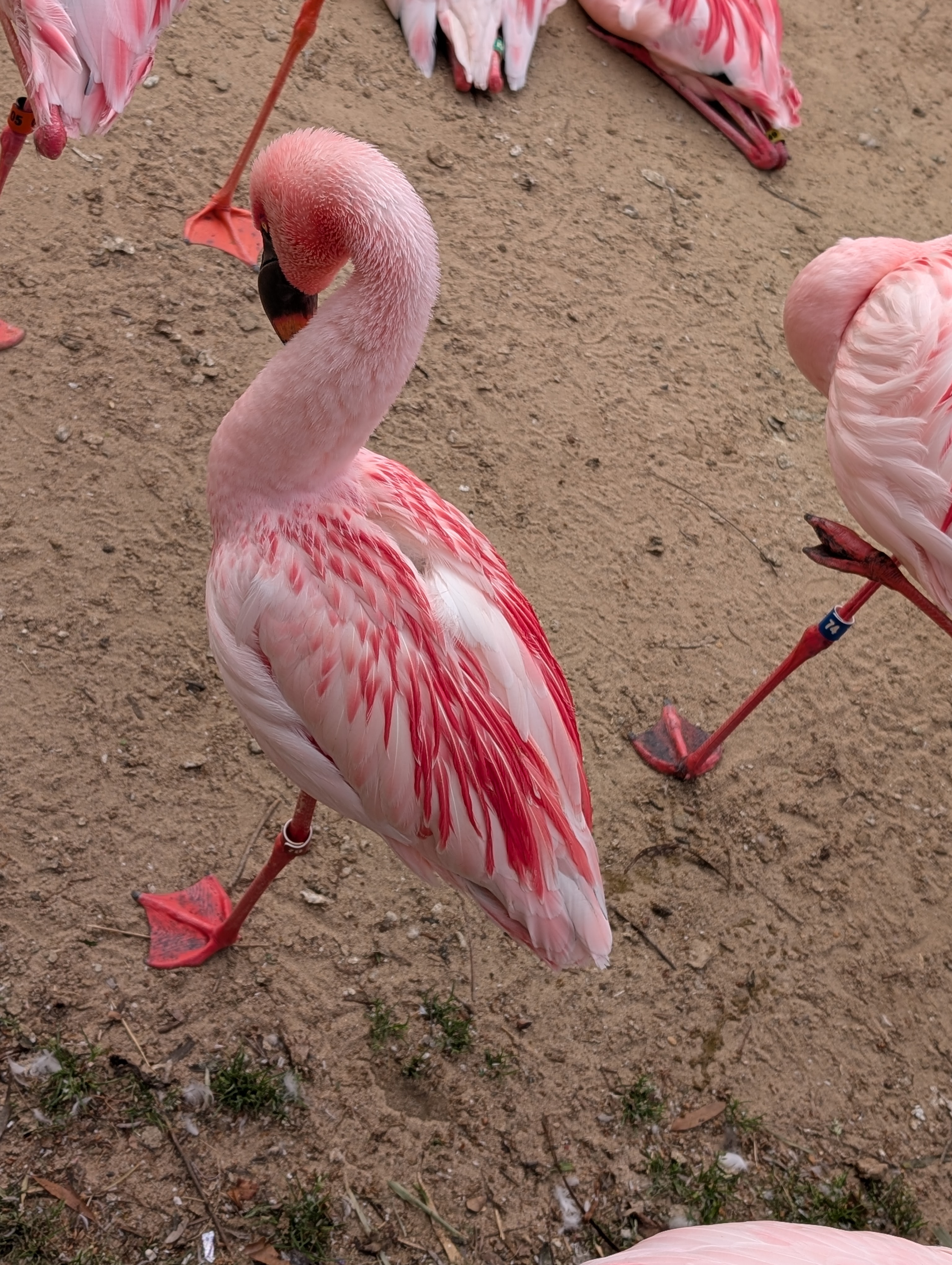 PXL 20250328 145100241