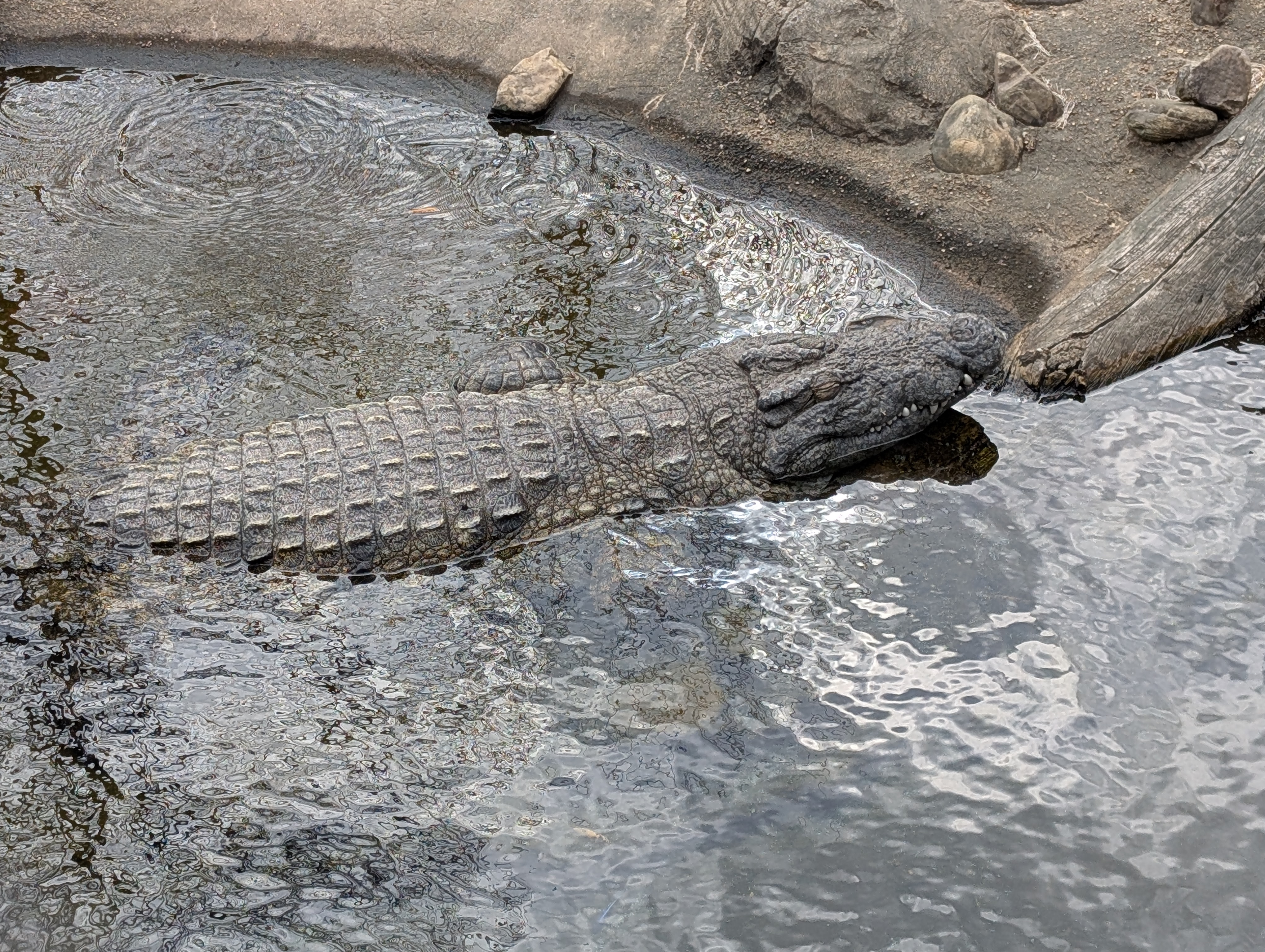 PXL 20250328 150007816