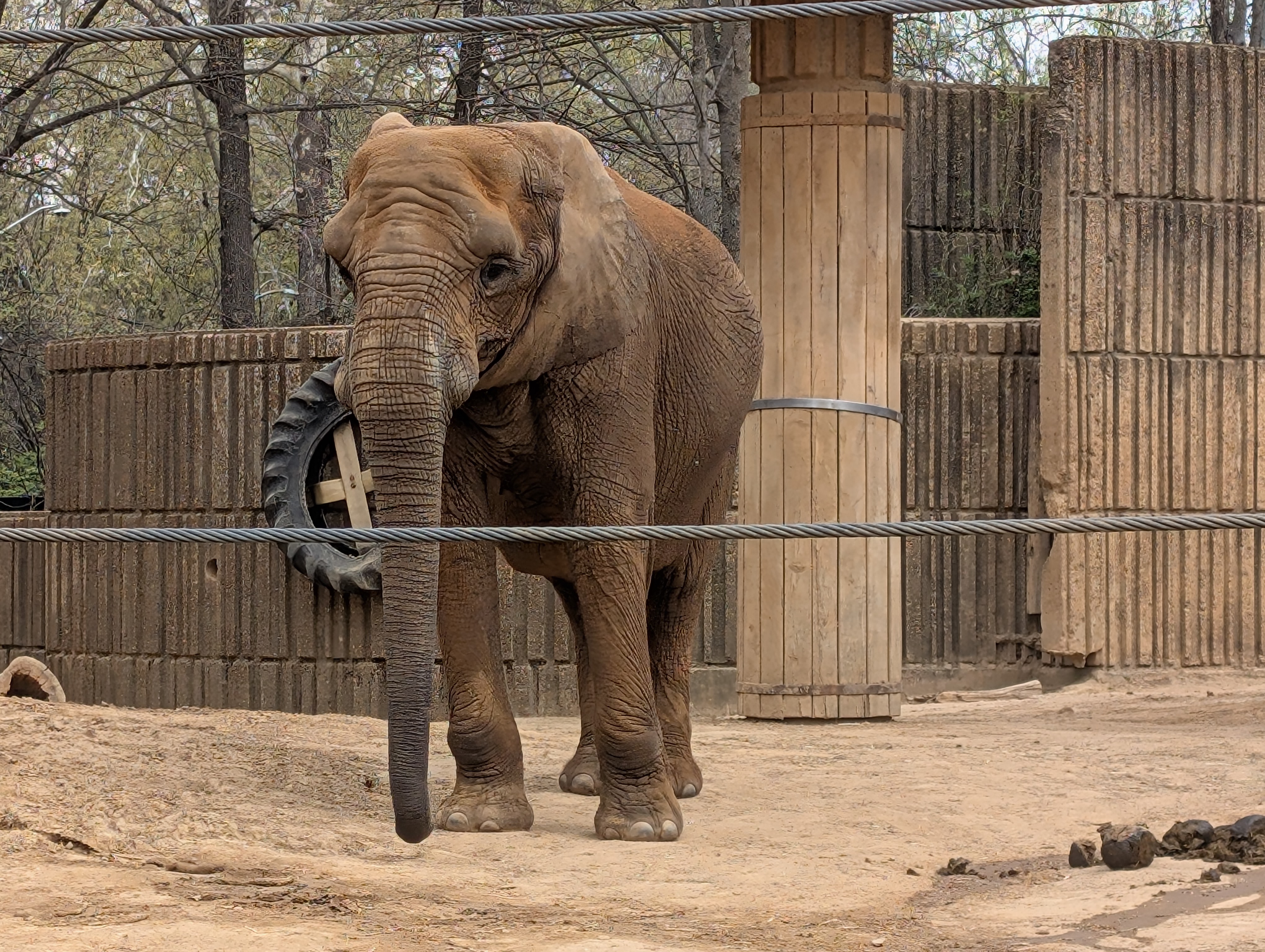 PXL 20250328 153122668