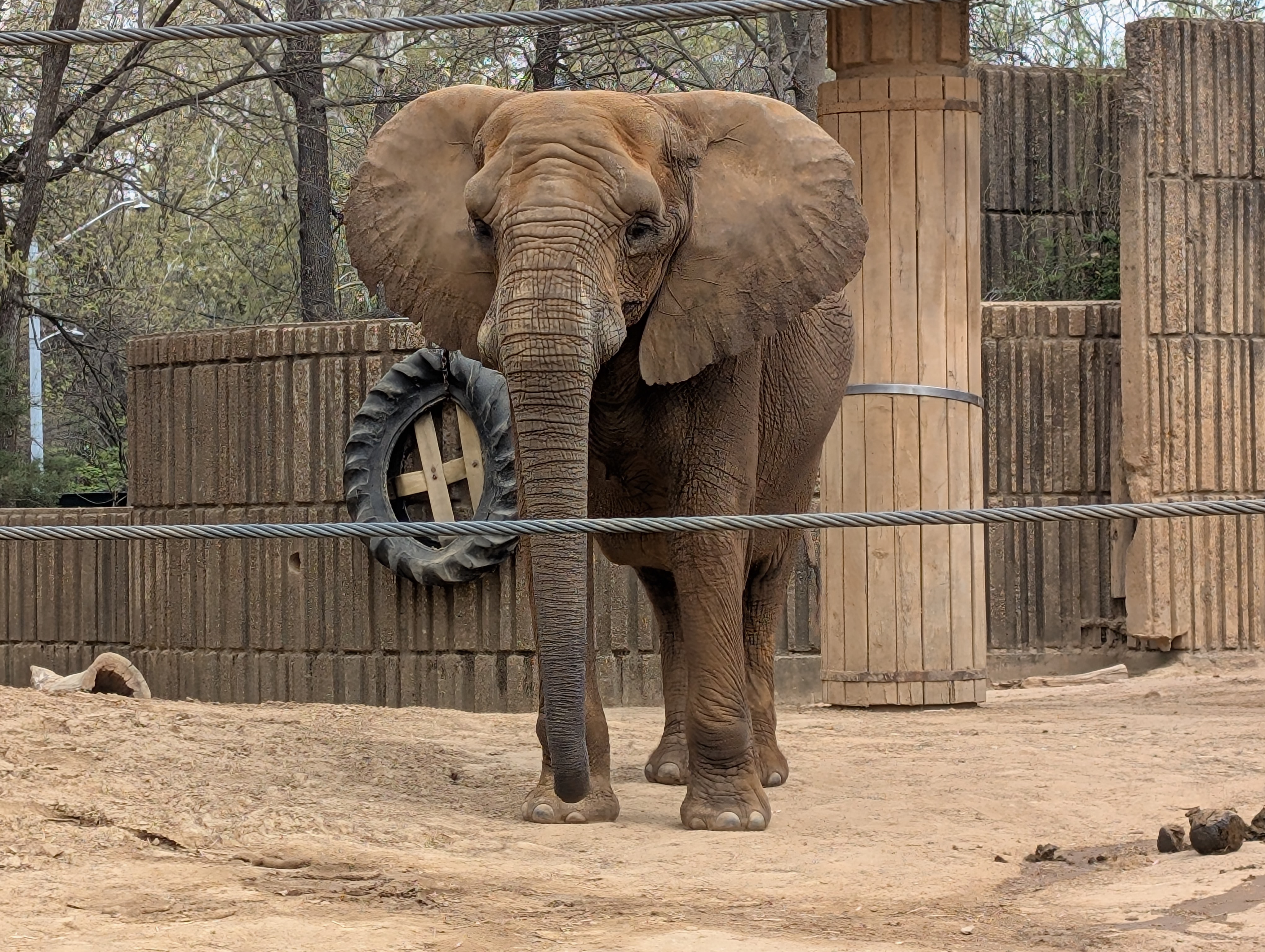 PXL 20250328 153126238