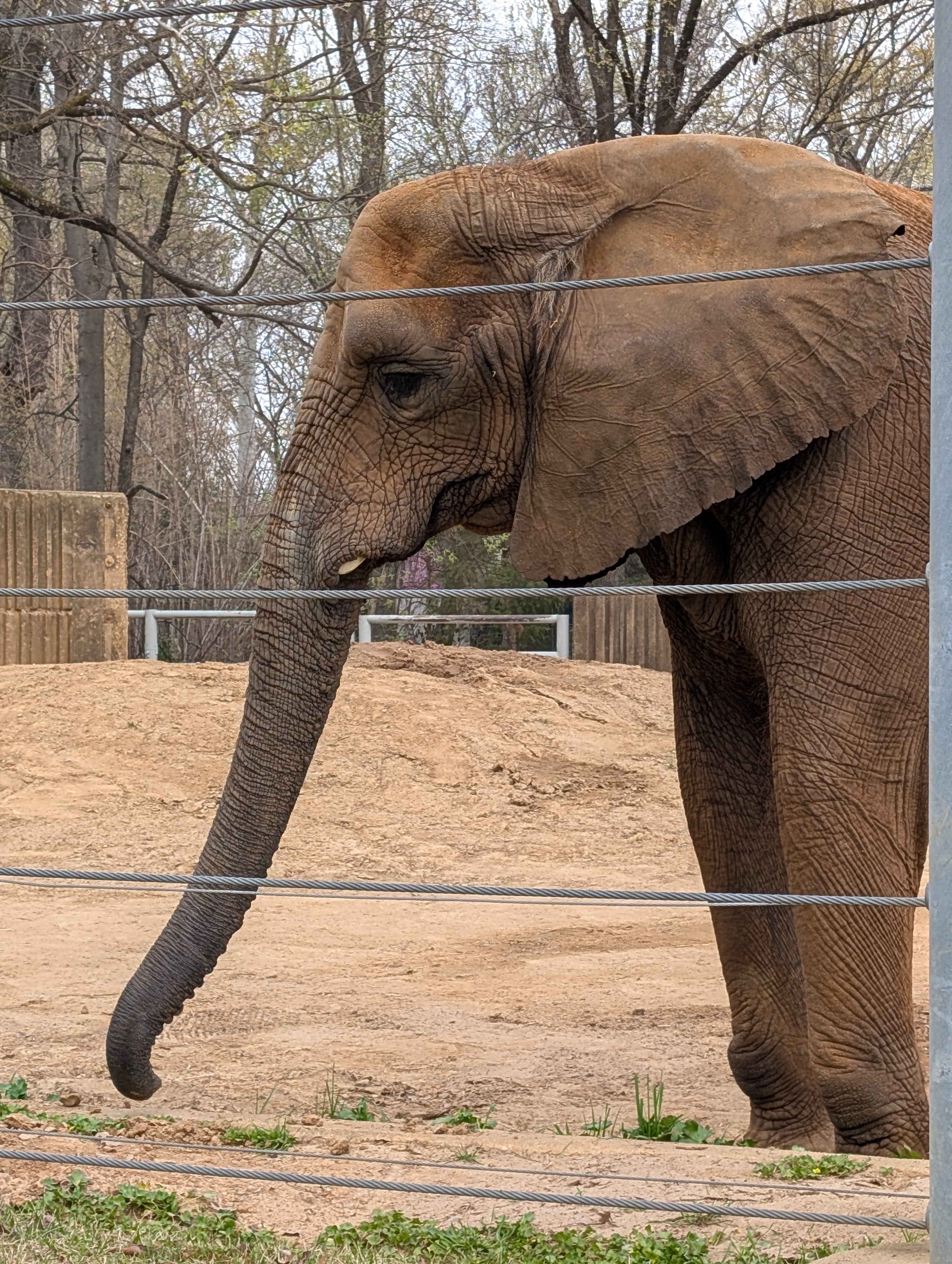 PXL 20250328 153332673