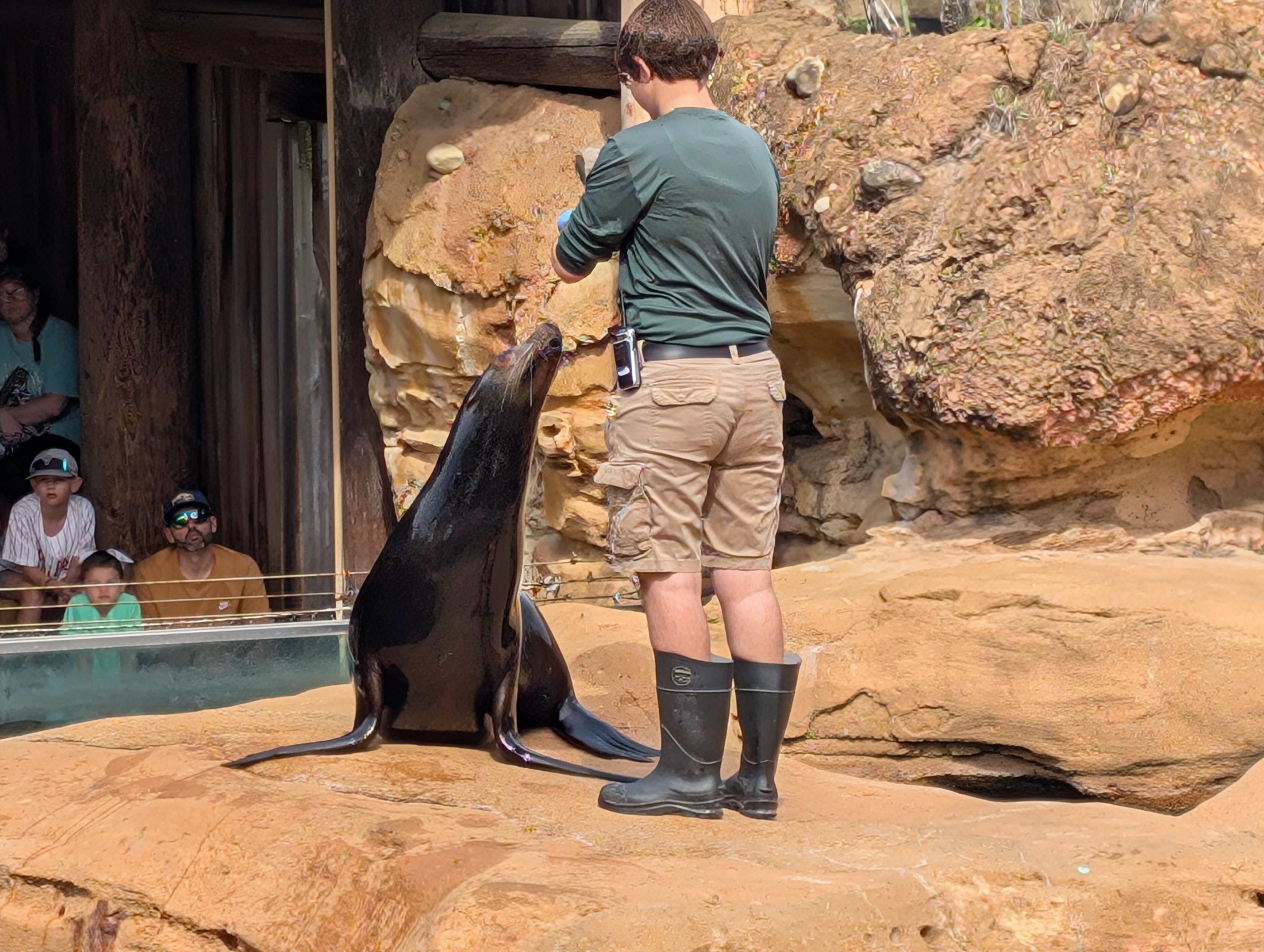 PXL 20250328 160257010