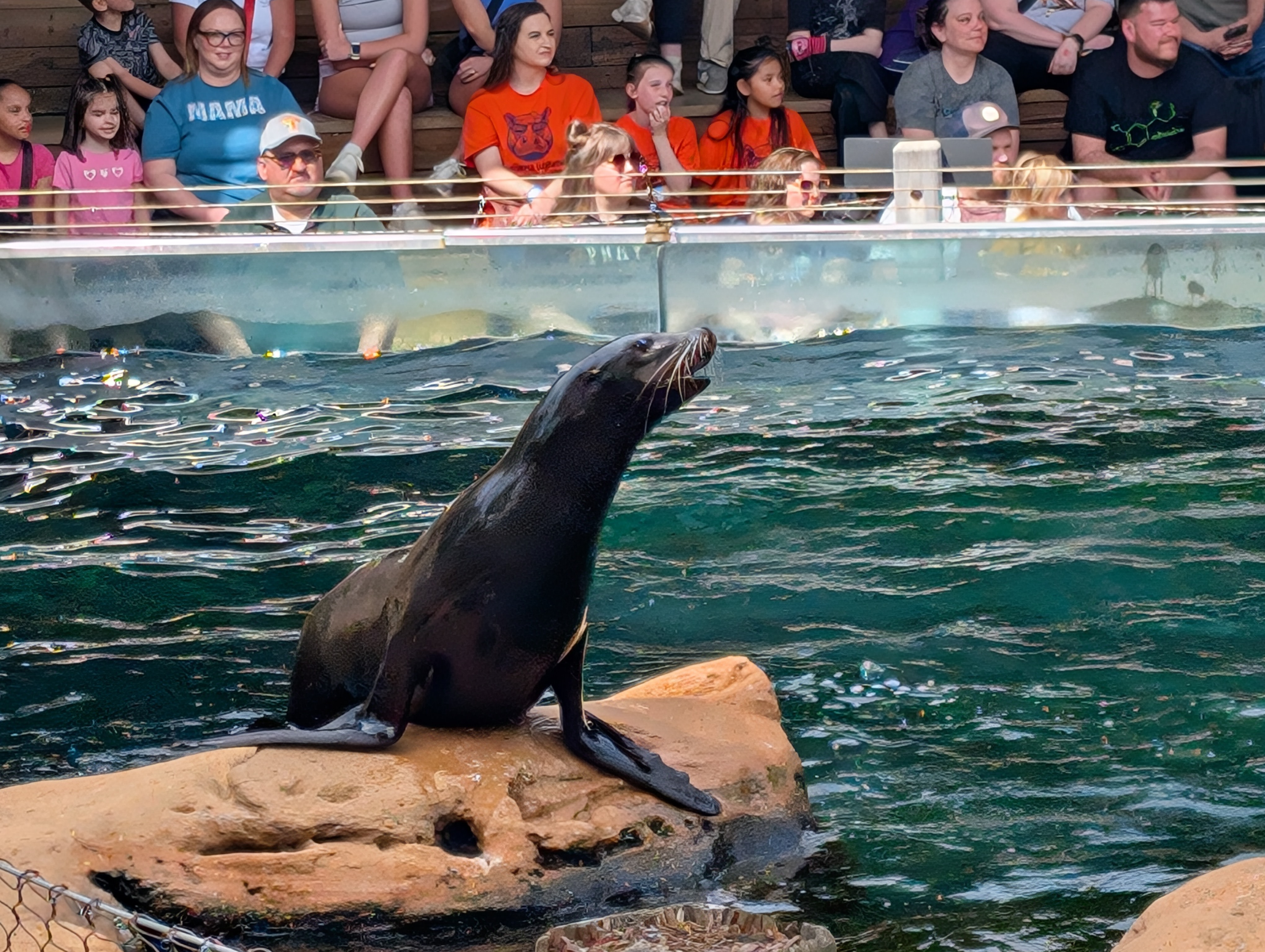 PXL 20250328 161004595