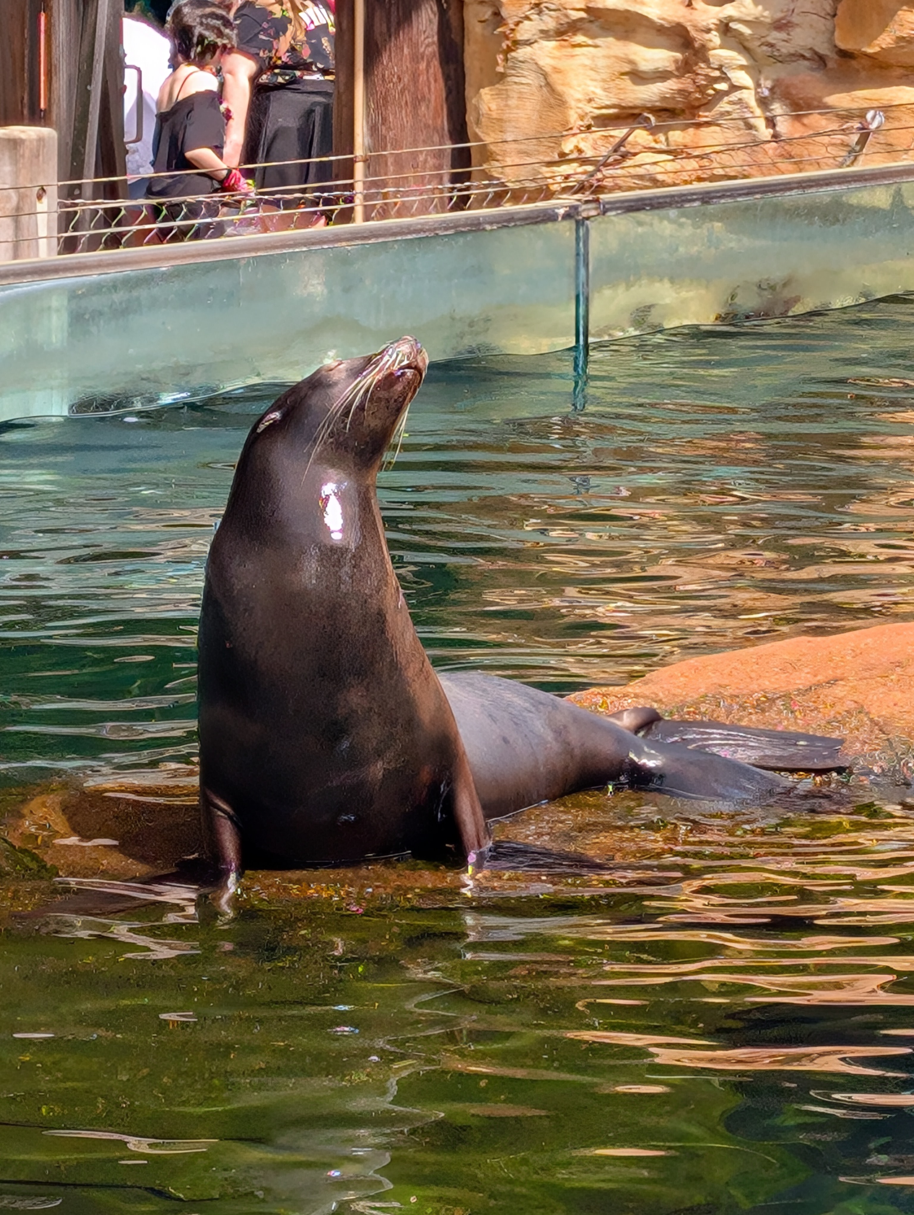 PXL 20250328 161323661