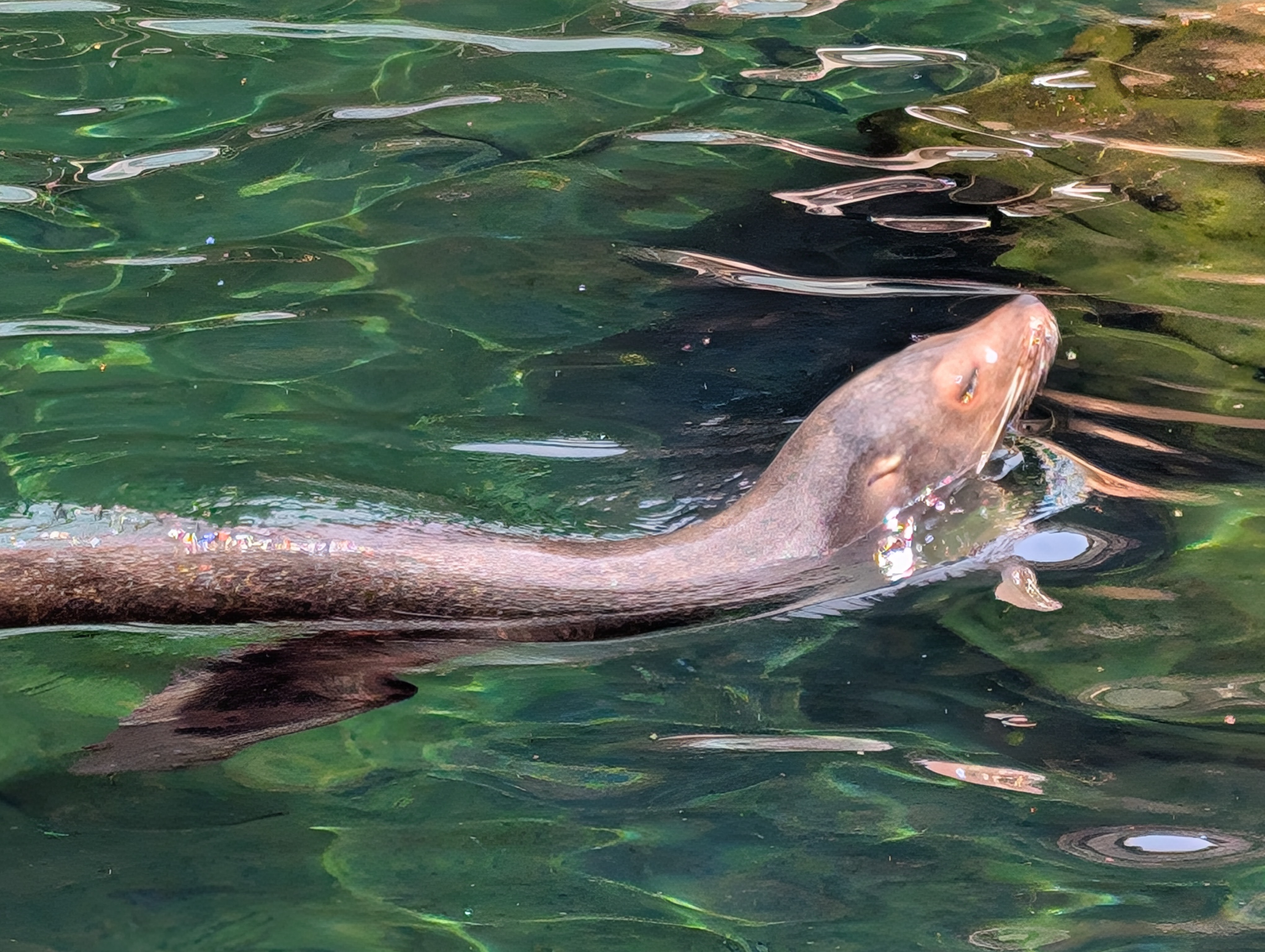 PXL 20250328 161443206