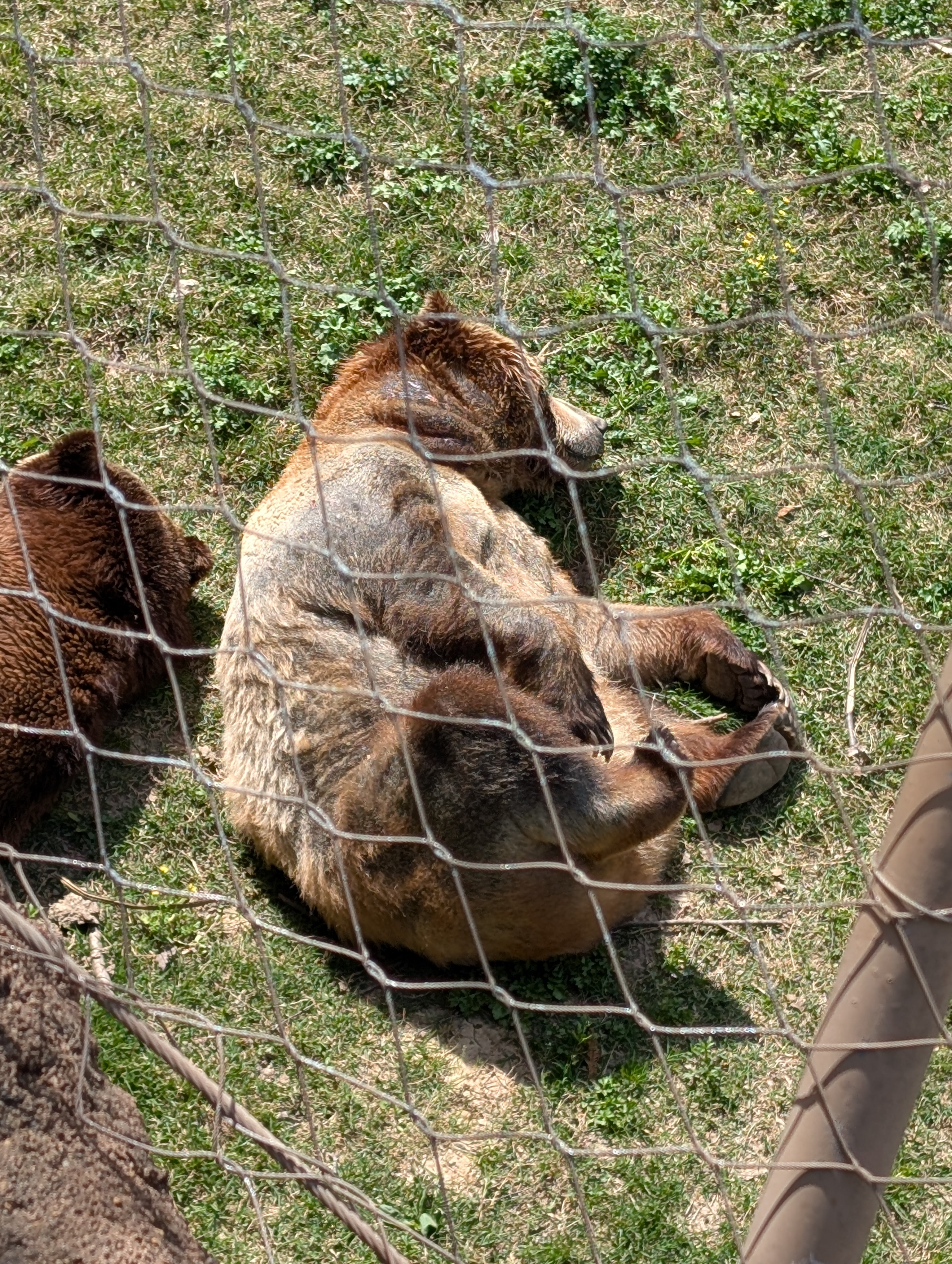 PXL 20250328 163023242