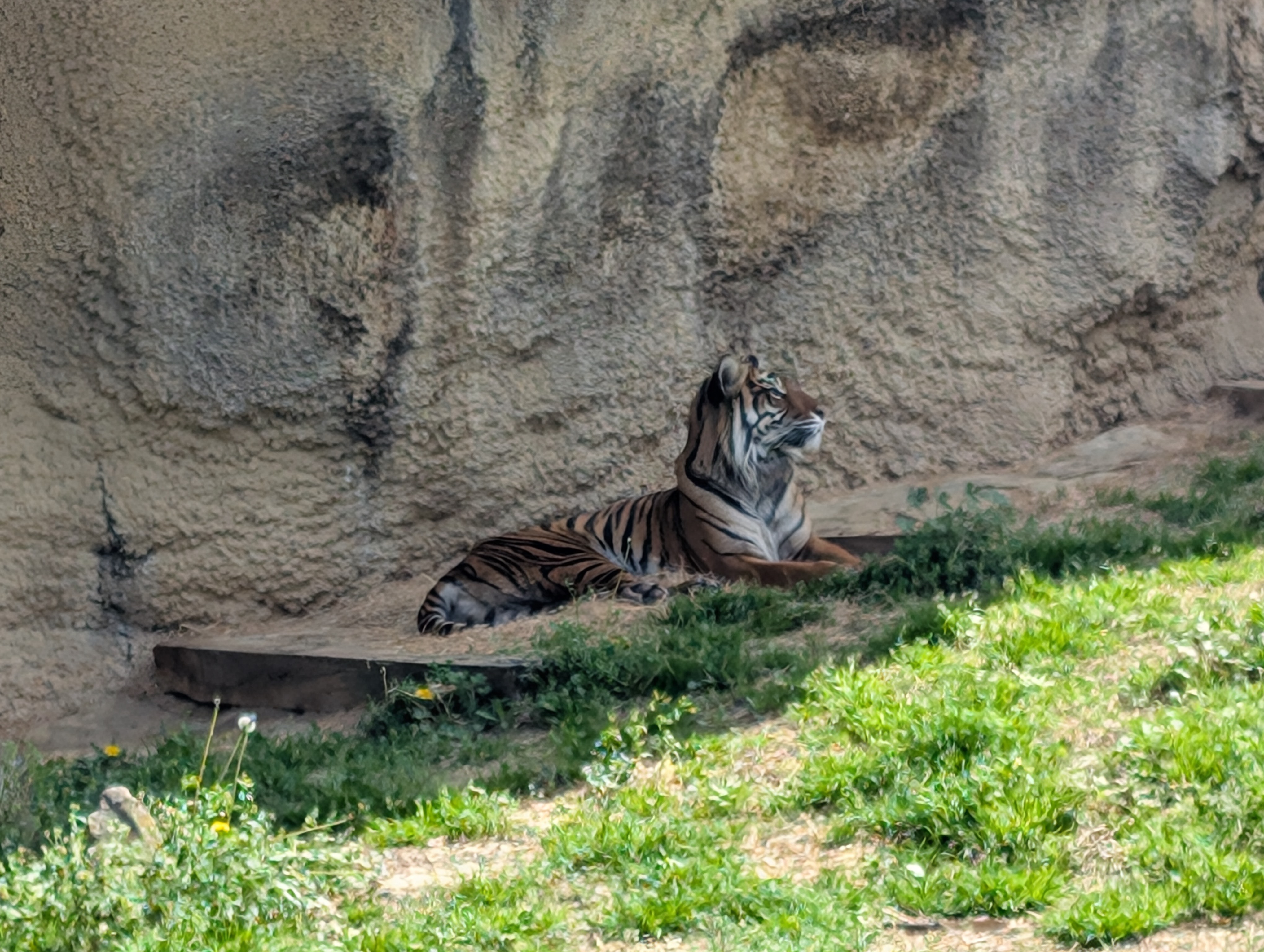 PXL 20250328 182243739