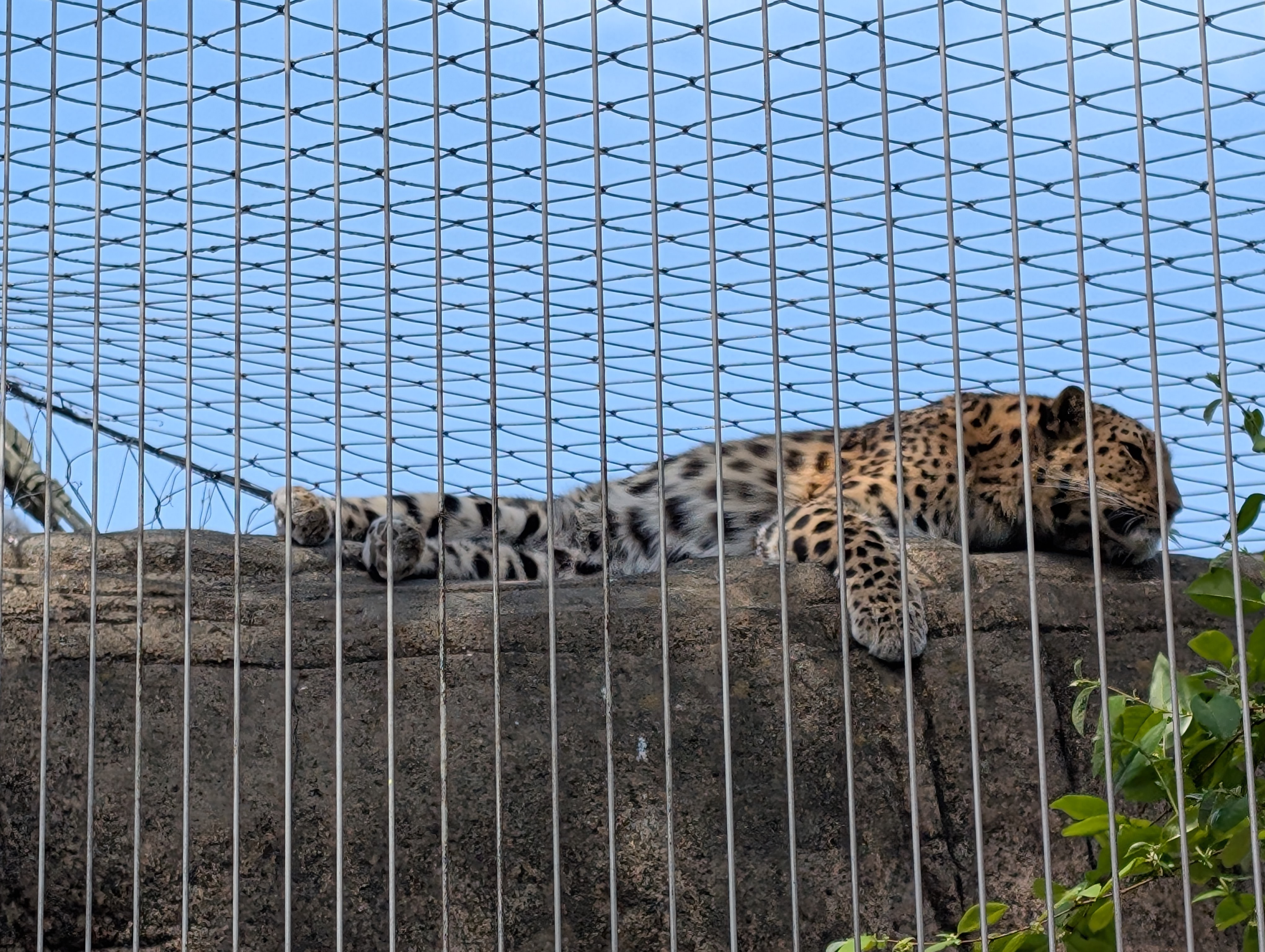 PXL 20250328 182414103